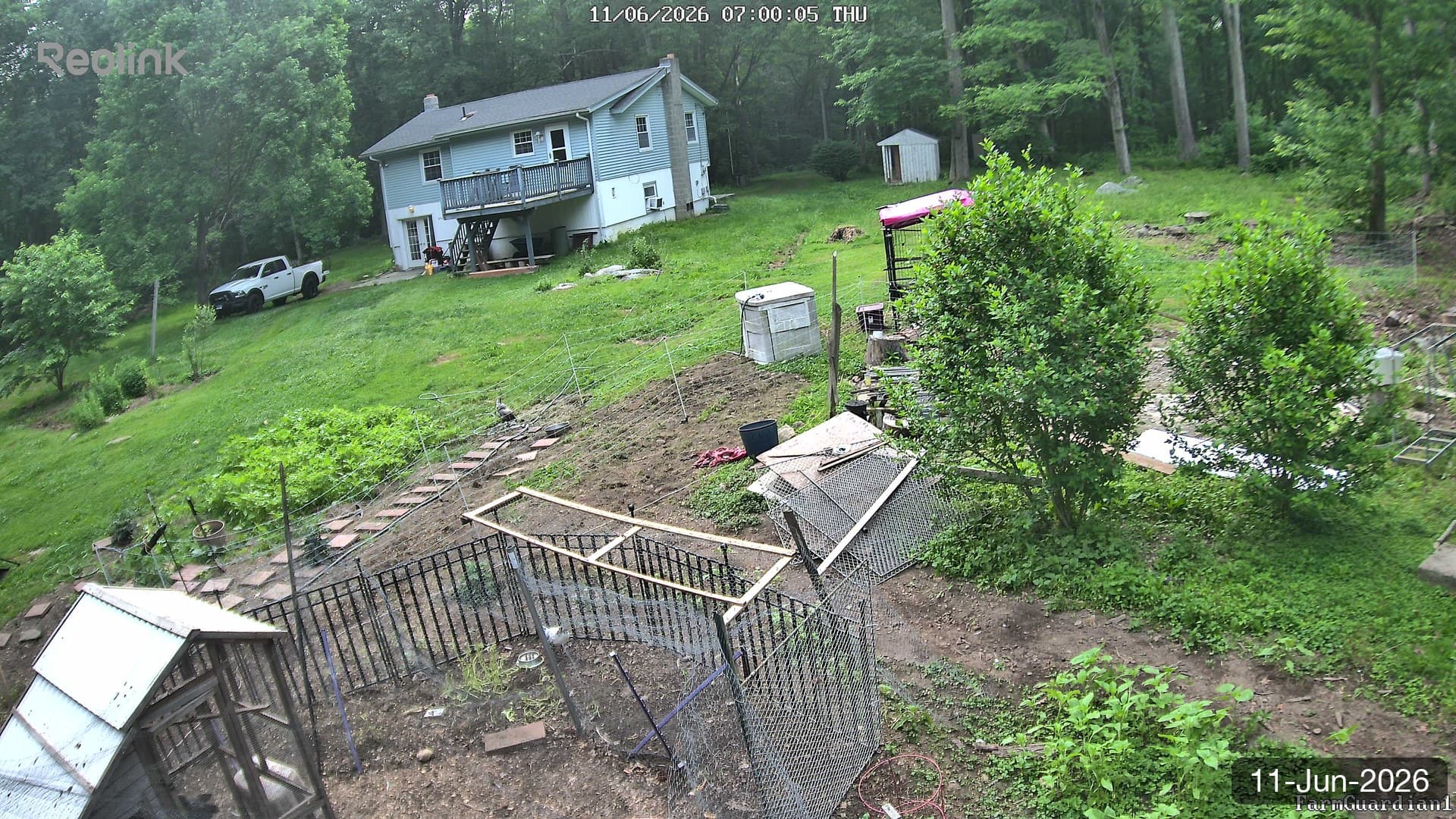 Yard on 11-Jun-2026, Morning