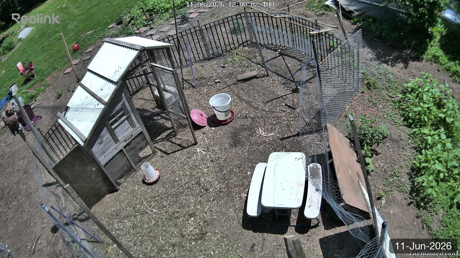 Yard on 11-Jun-2026, Noon