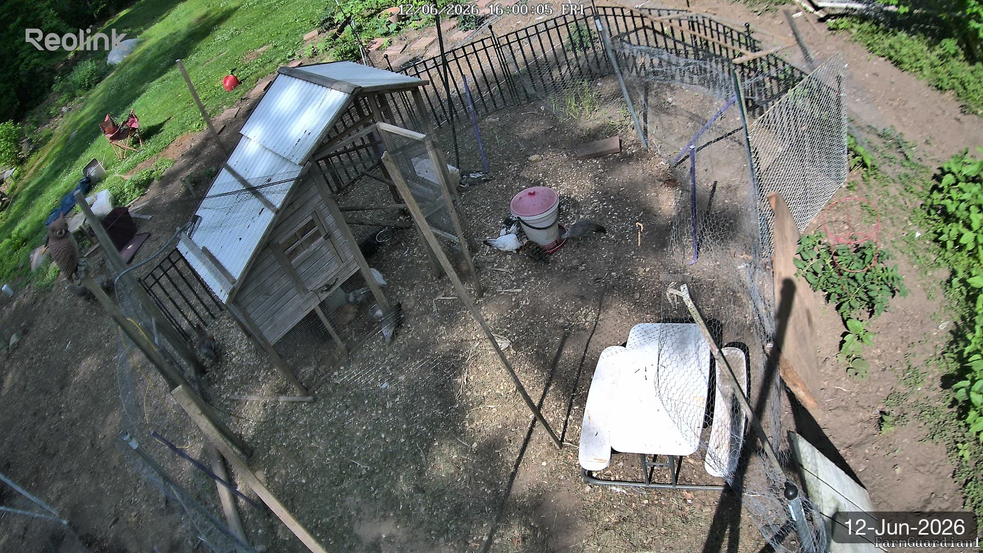 Yard on 12-Jun-2026, Evening