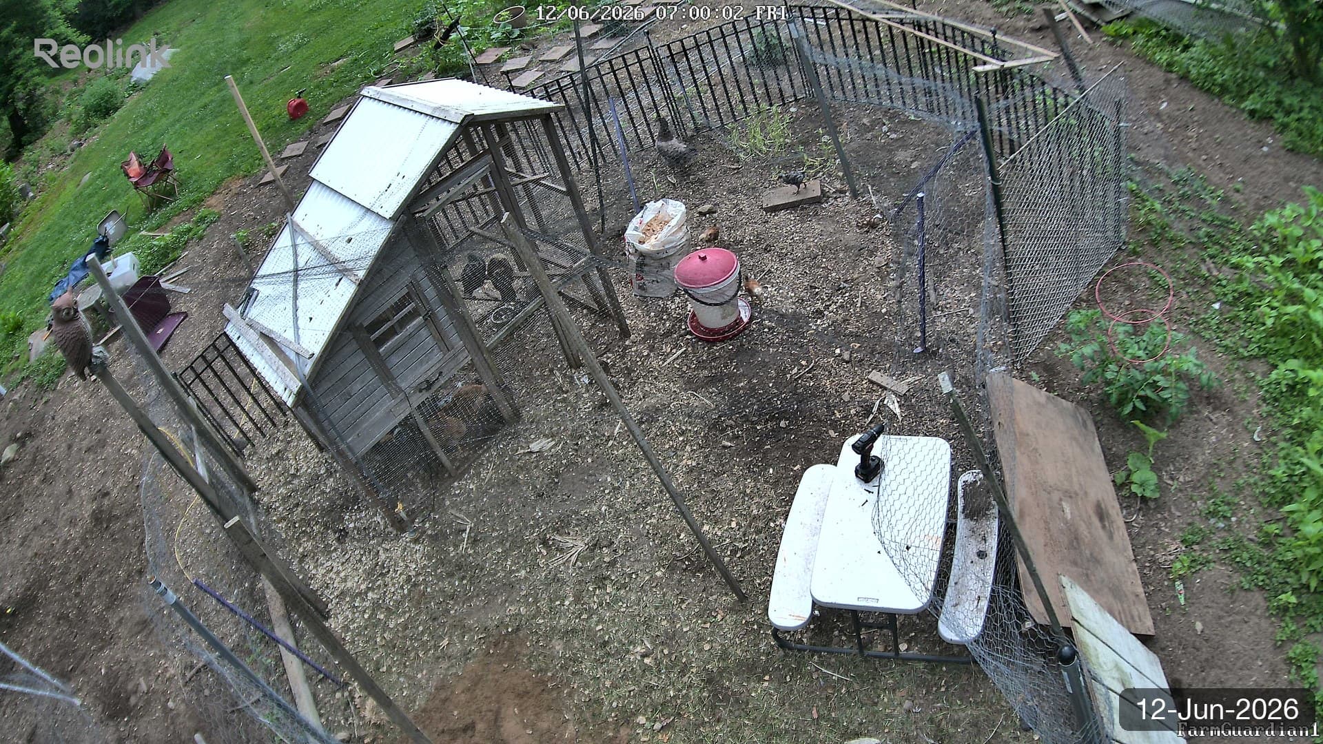 Yard on 12-Jun-2026, Morning