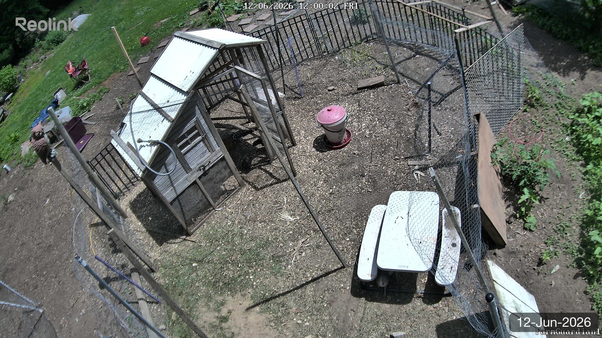 Yard on 12-Jun-2026, Noon