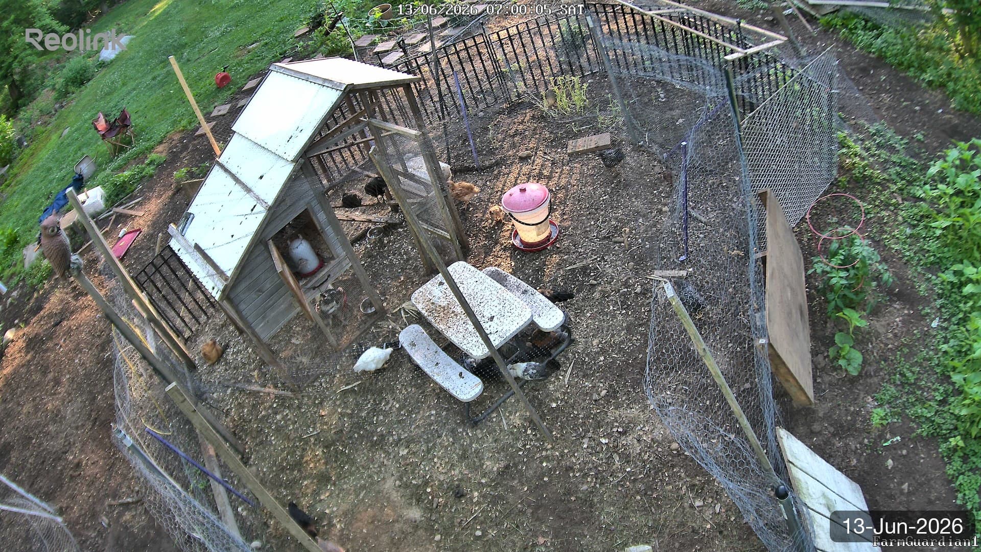 Yard on 13-Jun-2026, Morning