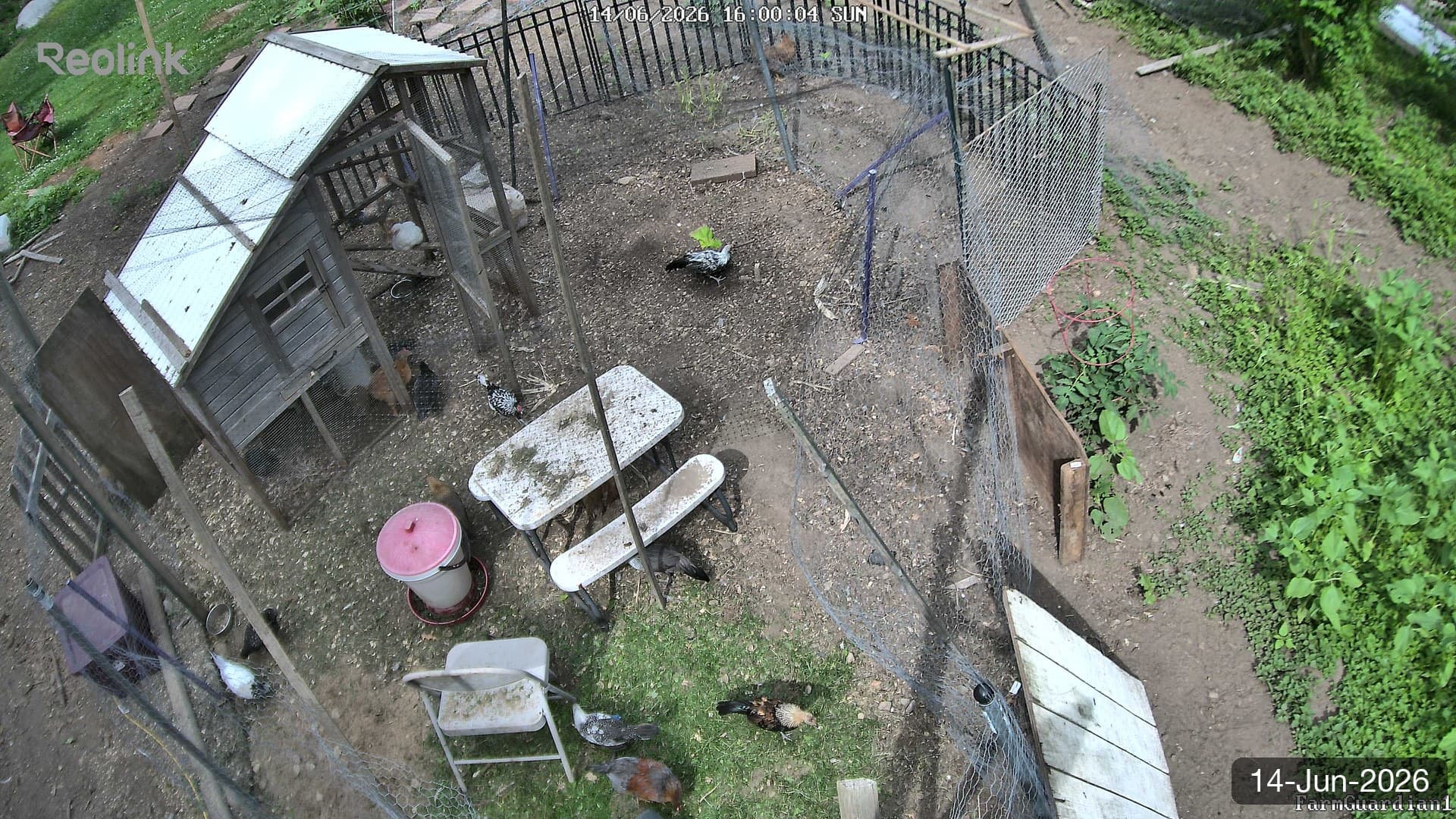 Yard on 14-Jun-2026, Evening