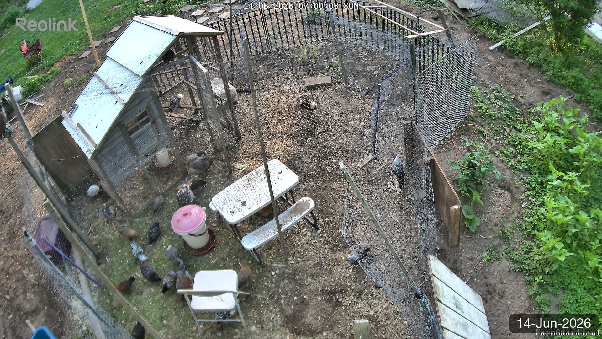 Yard on 14-Jun-2026, Morning