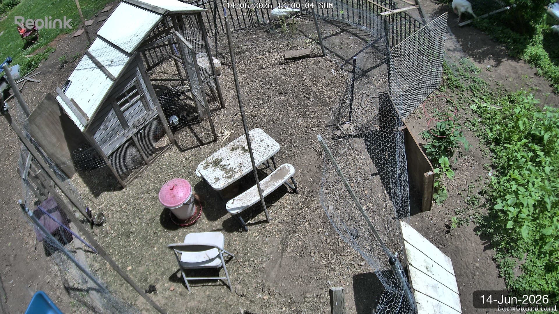 Yard on 14-Jun-2026, Noon