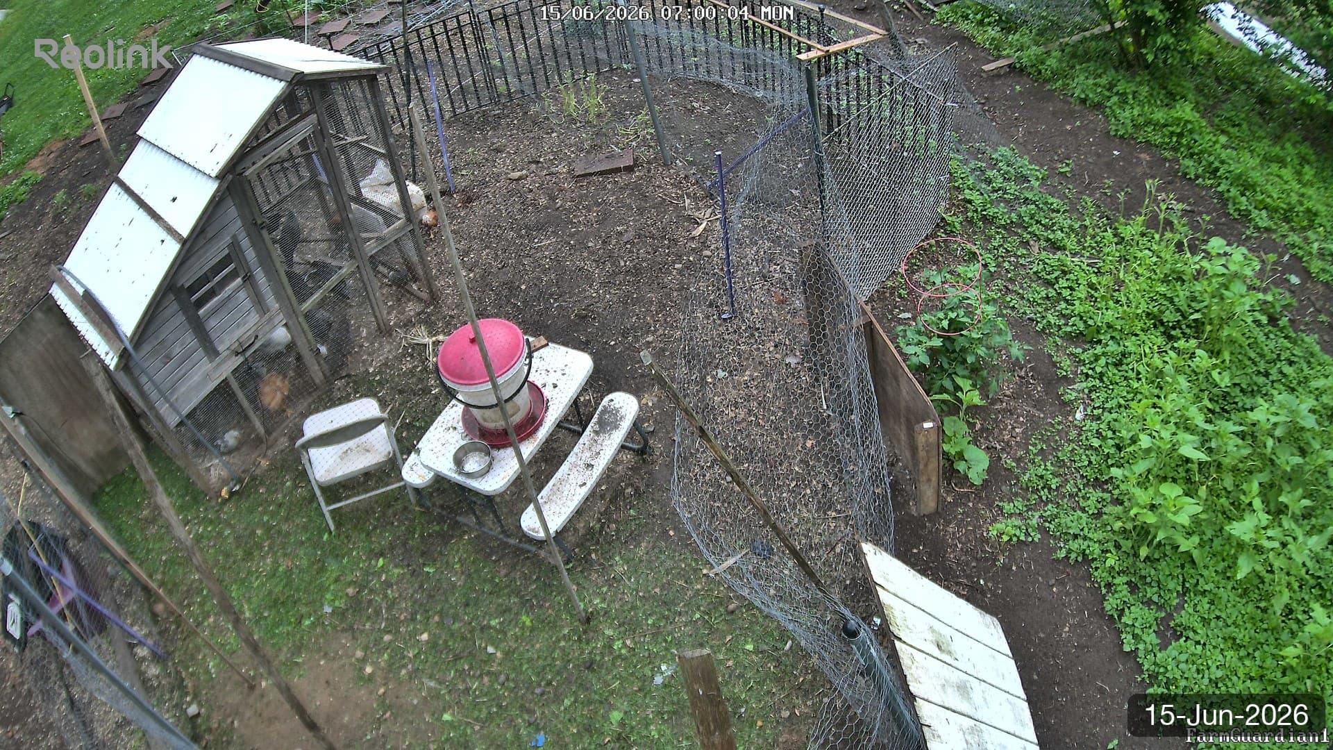 Yard on 15-Jun-2026, Morning