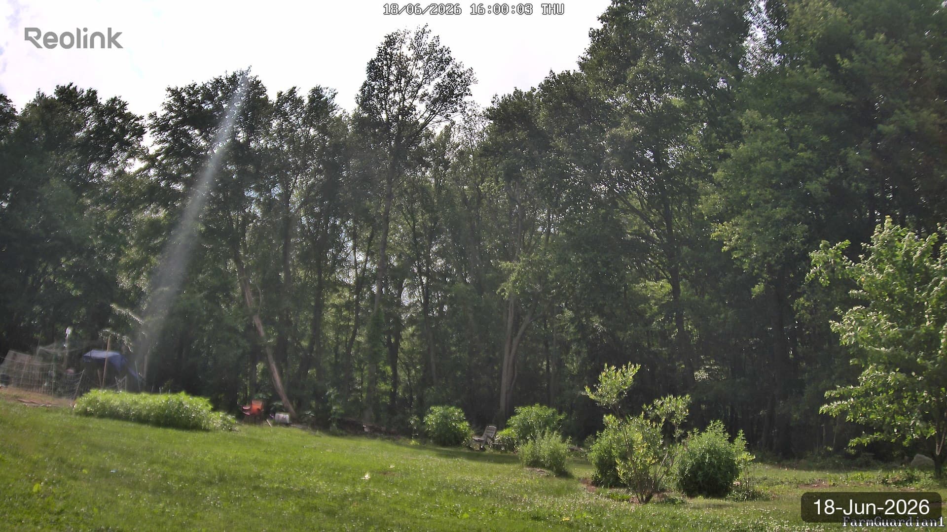 Yard on 18-Jun-2026, Evening
