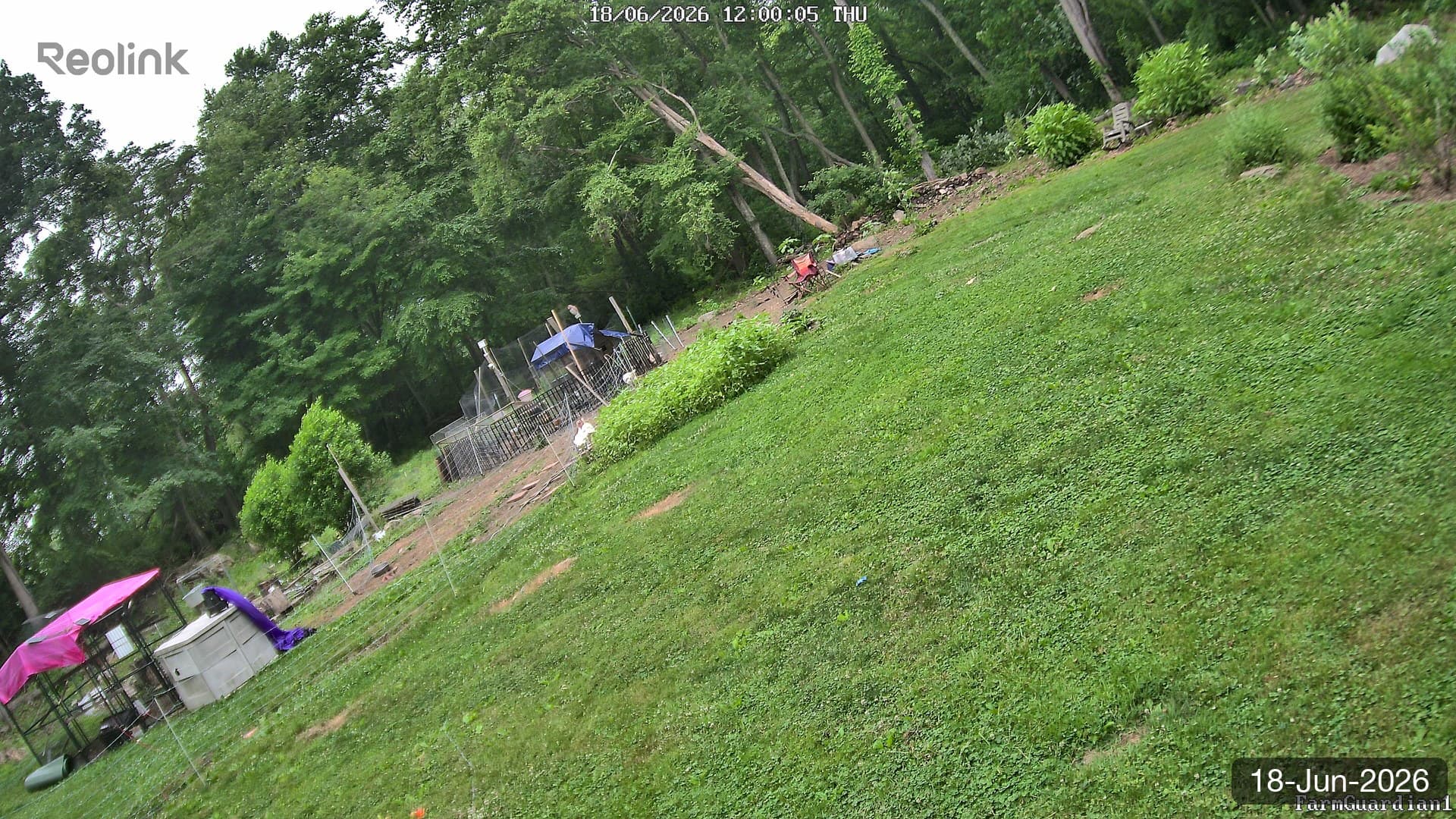 Yard on 18-Jun-2026, Noon