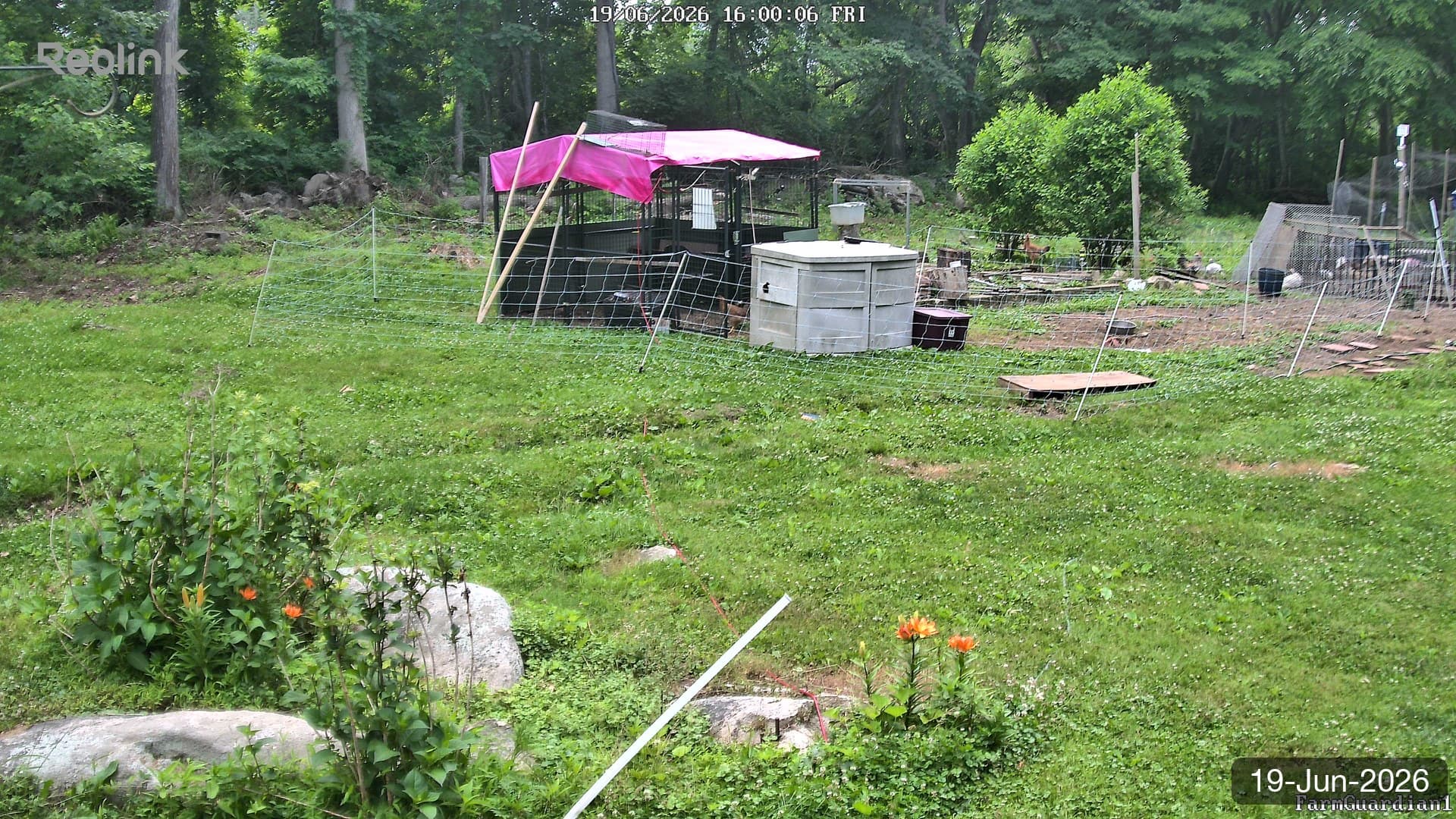 Yard on 19-Jun-2026, Evening