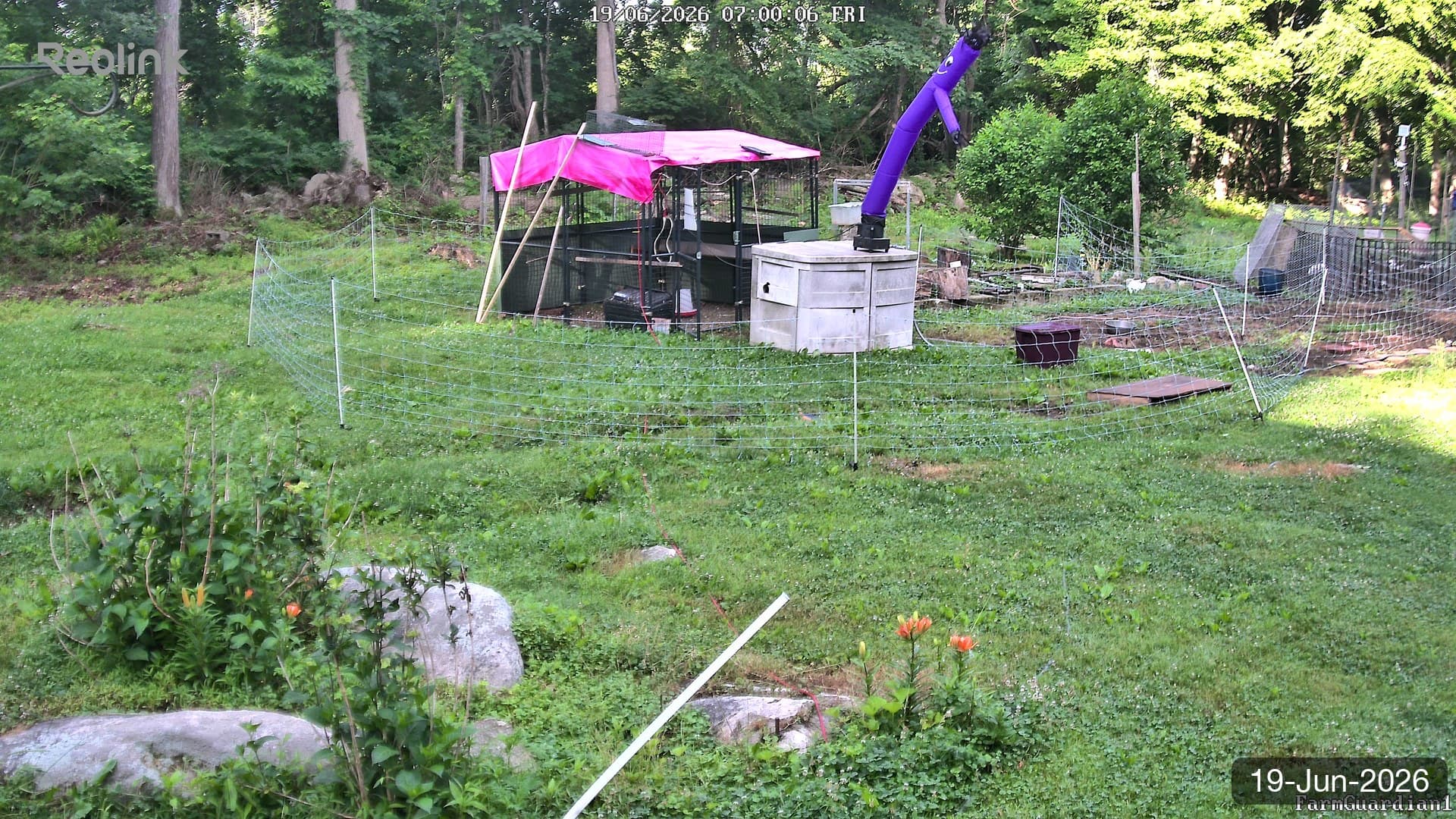 Yard on 19-Jun-2026, Morning