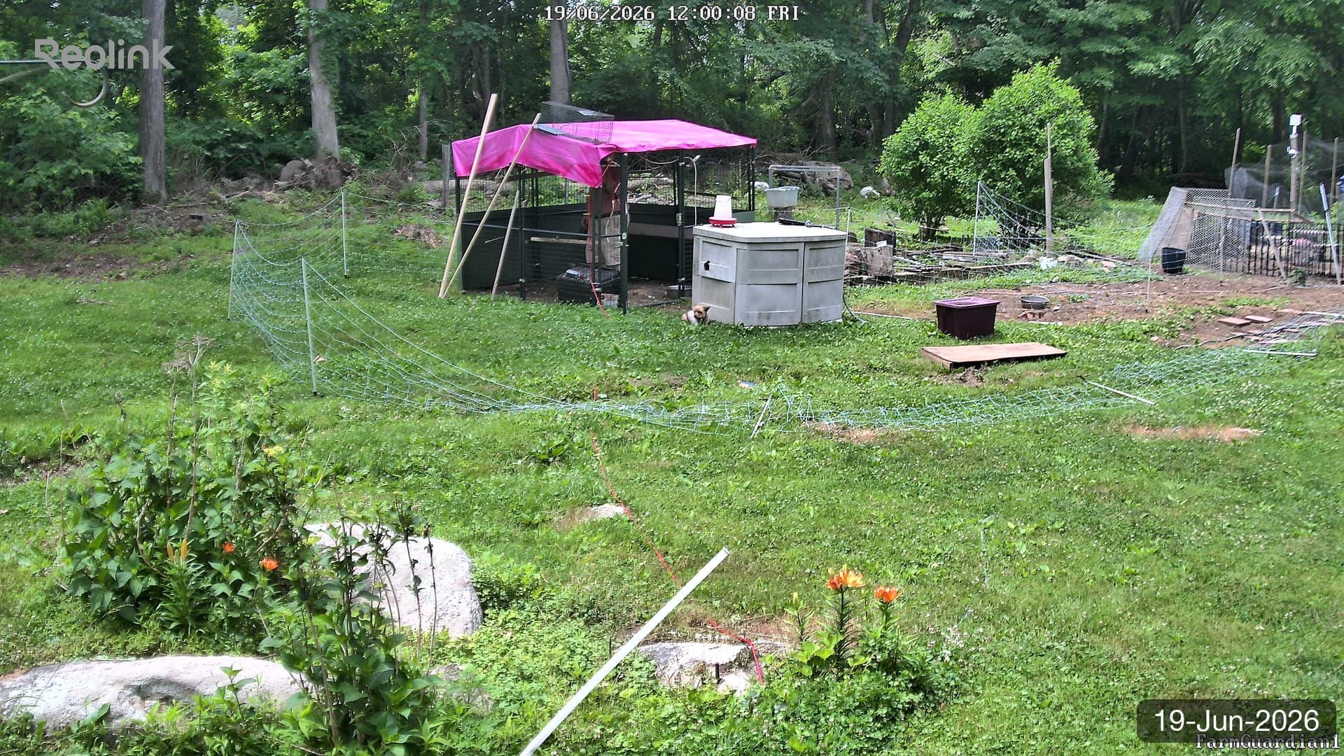 Yard on 19-Jun-2026, Noon