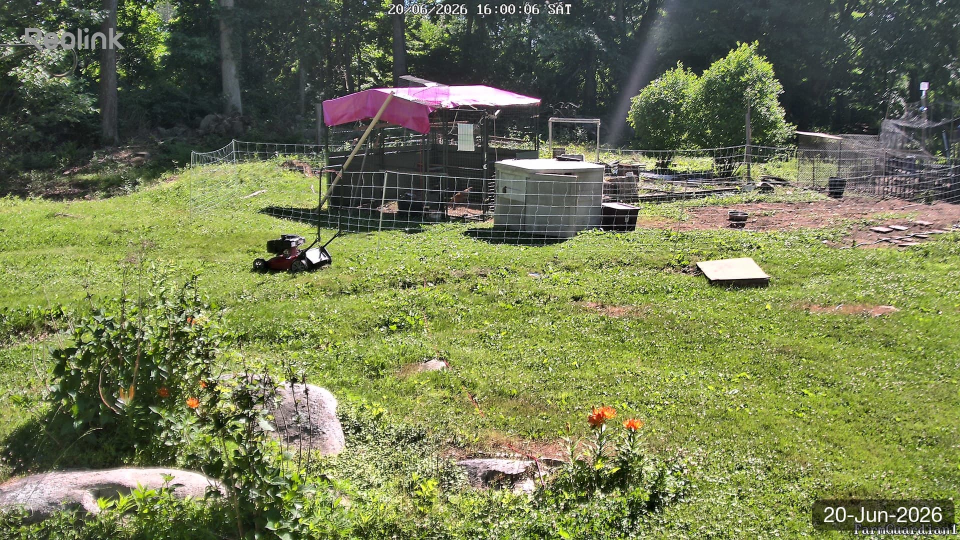Yard on 20-Jun-2026, Evening