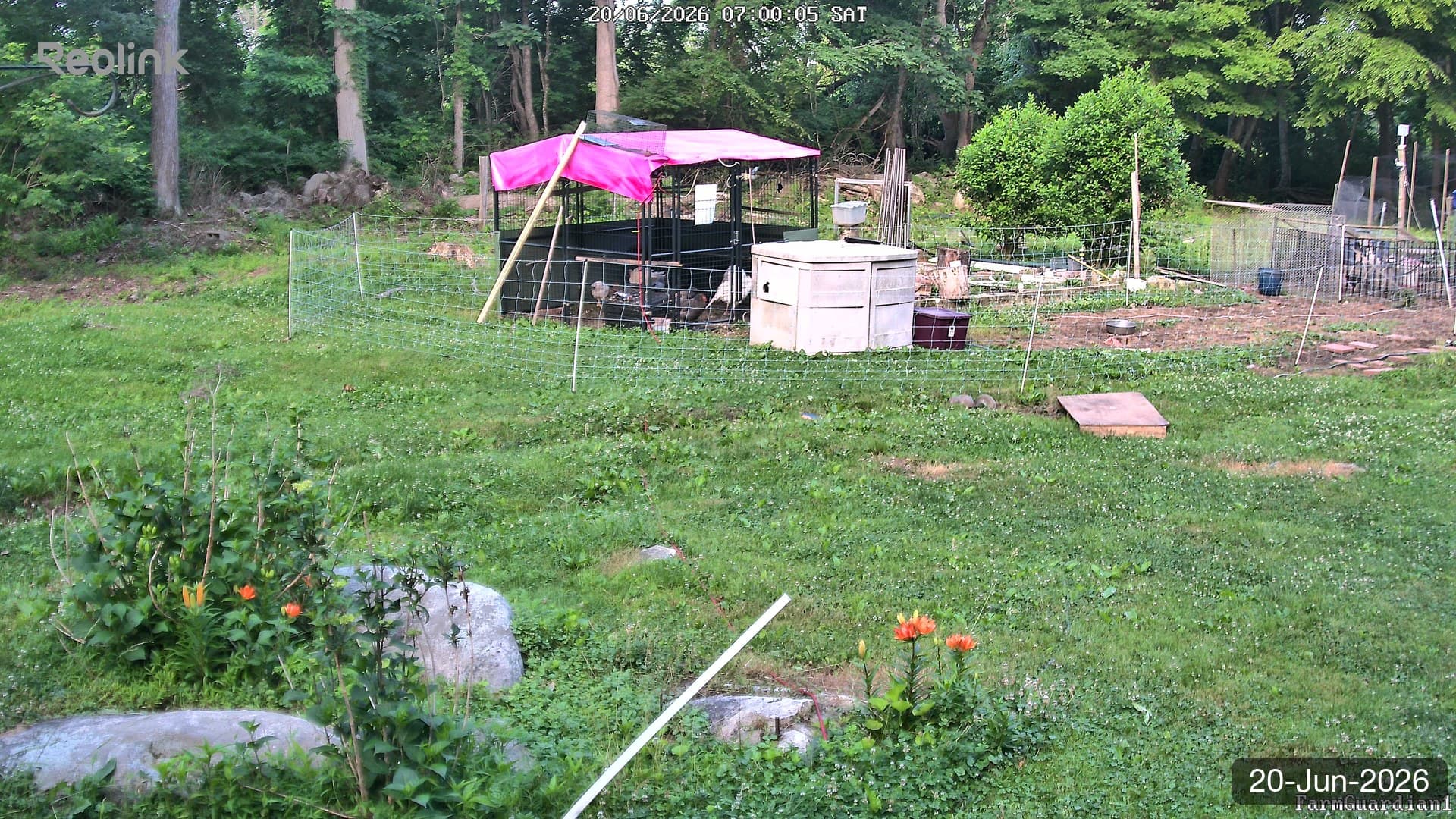 Yard on 20-Jun-2026, Morning