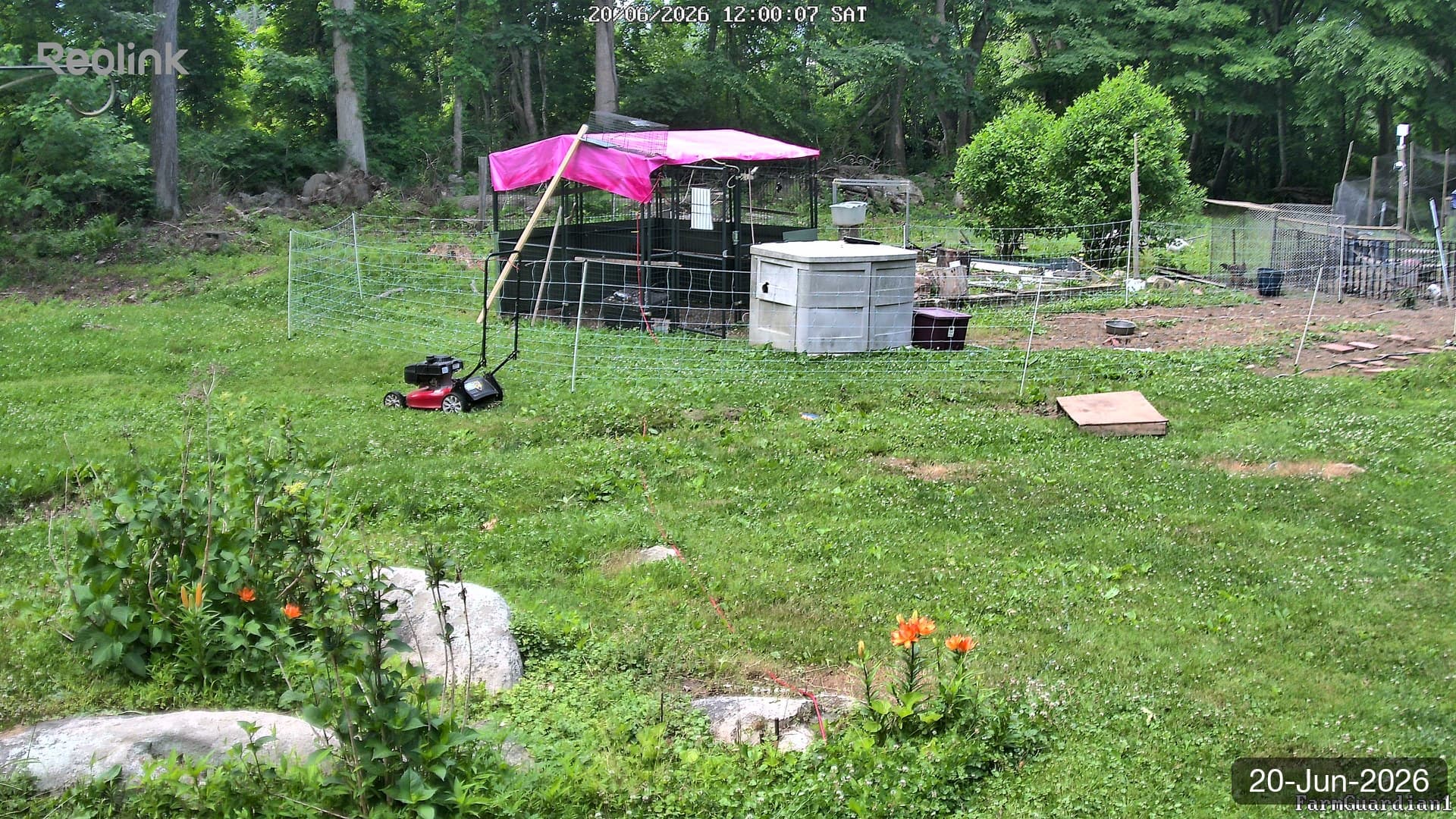 Yard on 20-Jun-2026, Noon