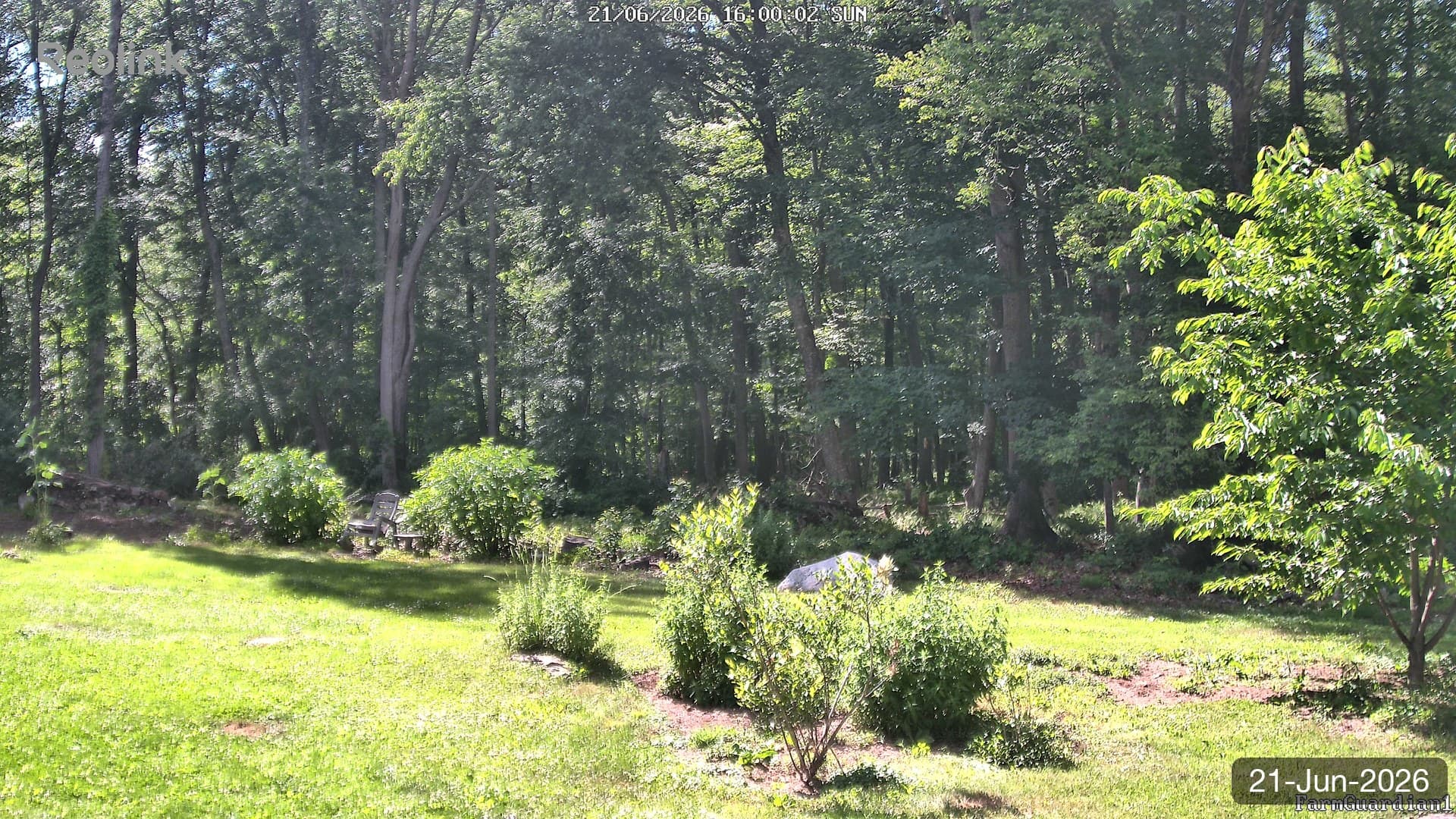 Yard on 21-Jun-2026, Evening