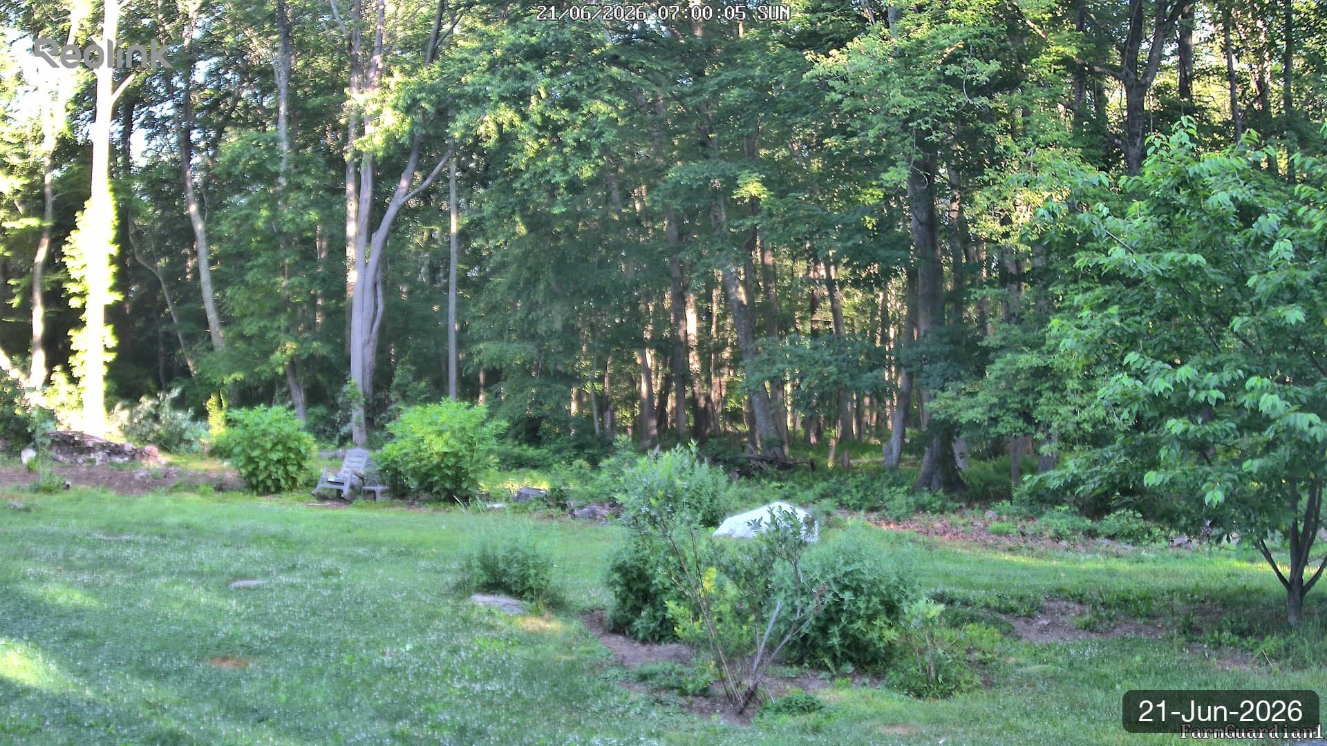 Yard on 21-Jun-2026, Morning