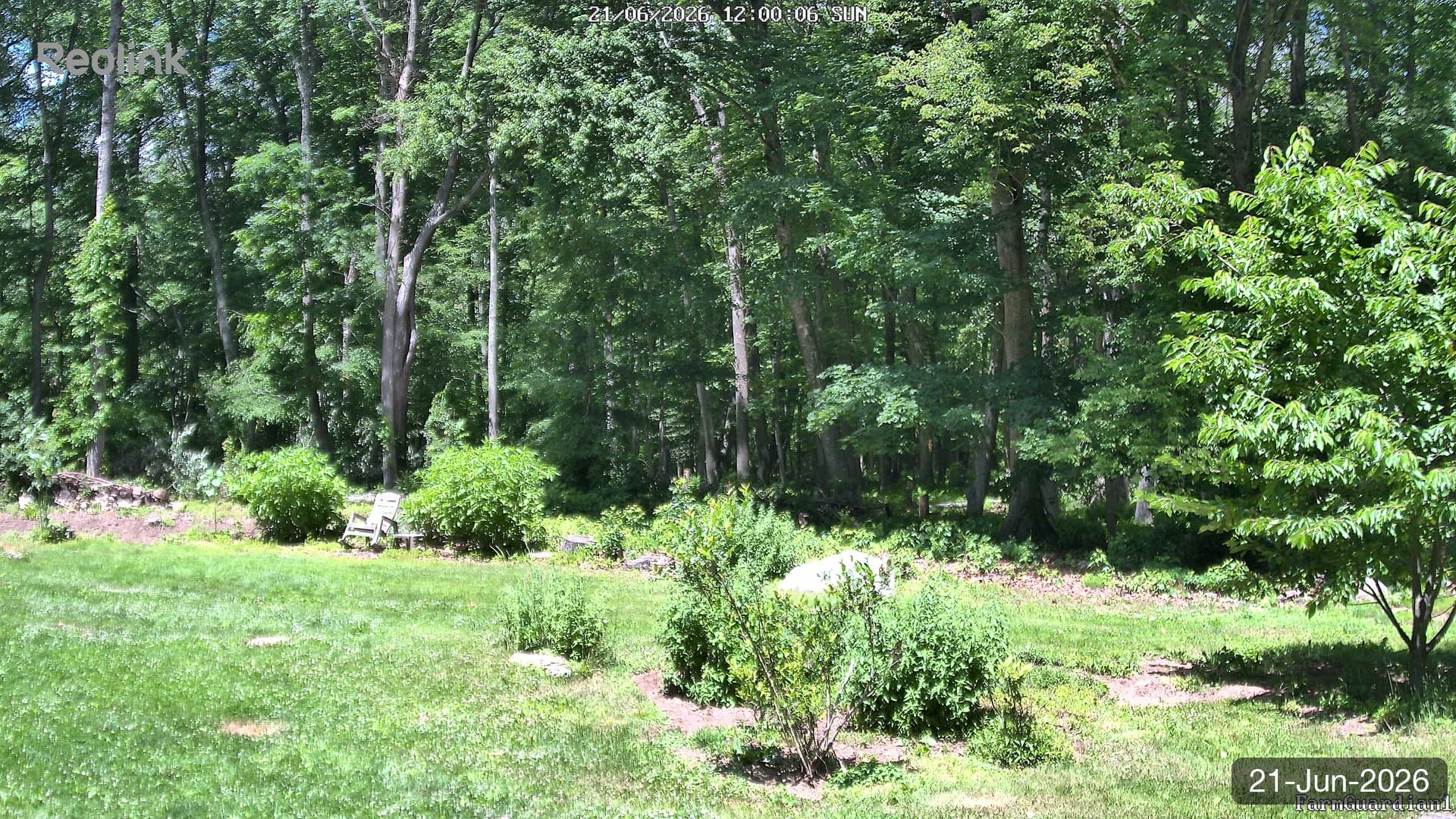 Yard on 21-Jun-2026, Noon