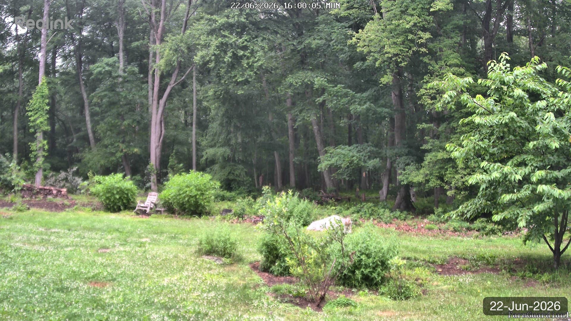 Yard on 22-Jun-2026, Evening