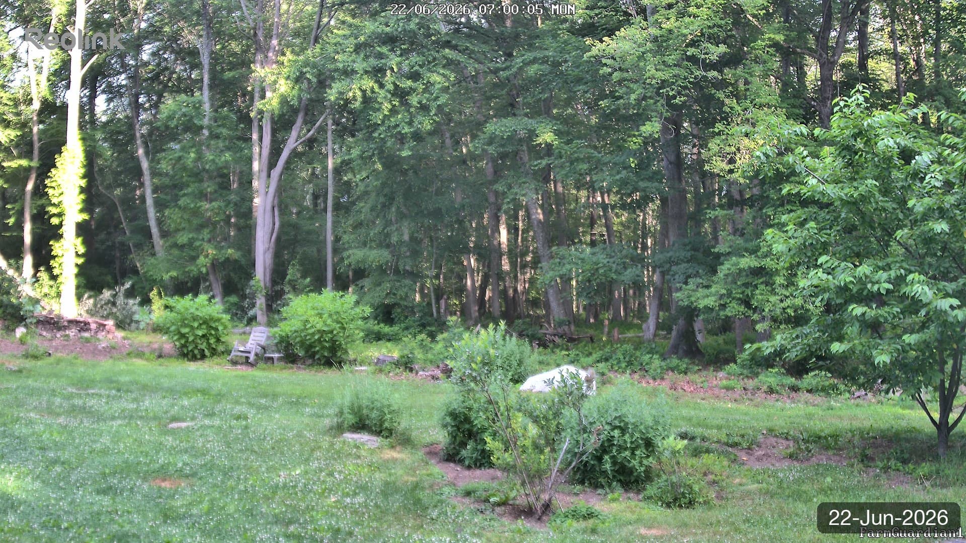 Yard on 22-Jun-2026, Morning