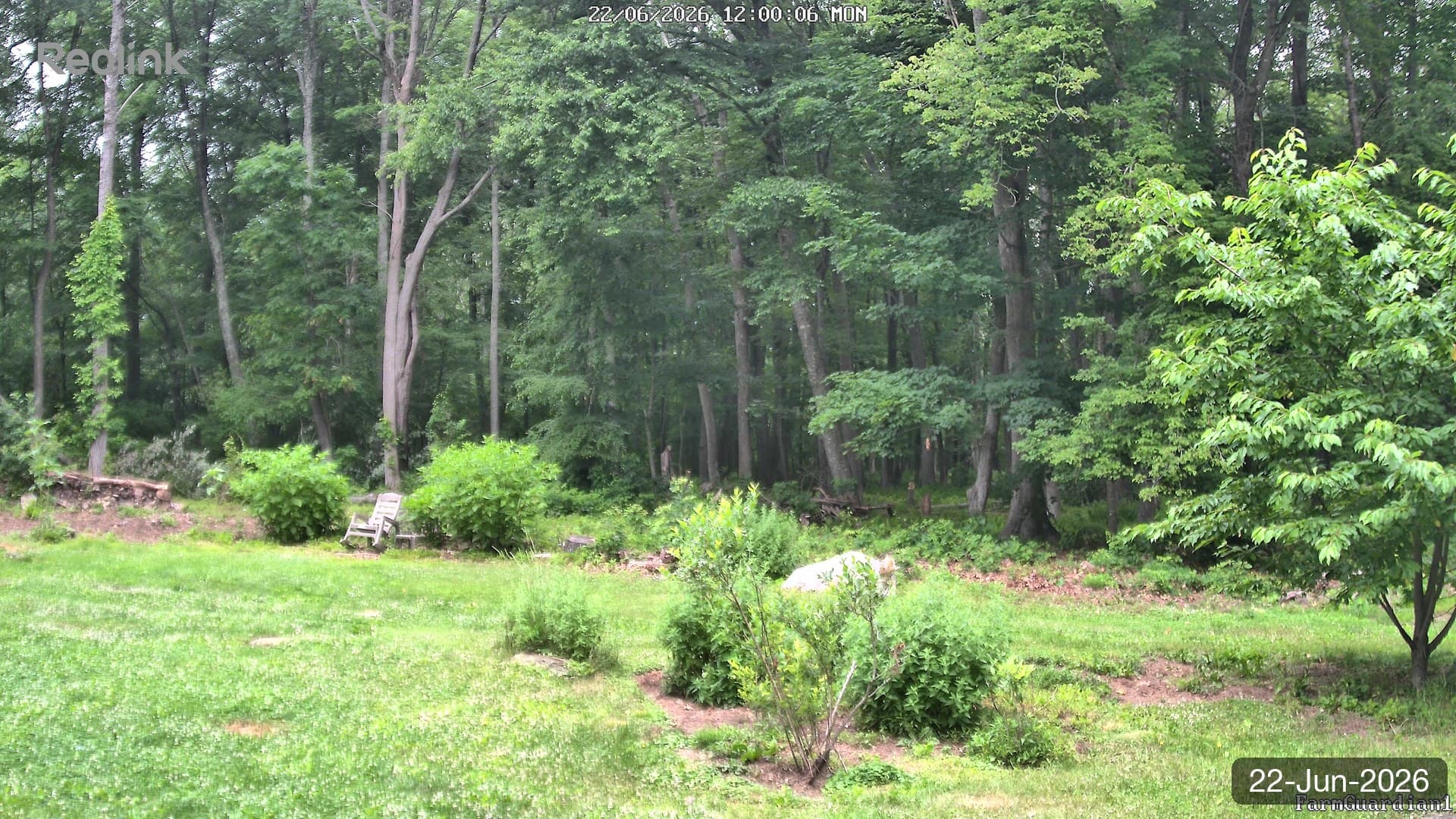 Yard on 22-Jun-2026, Noon