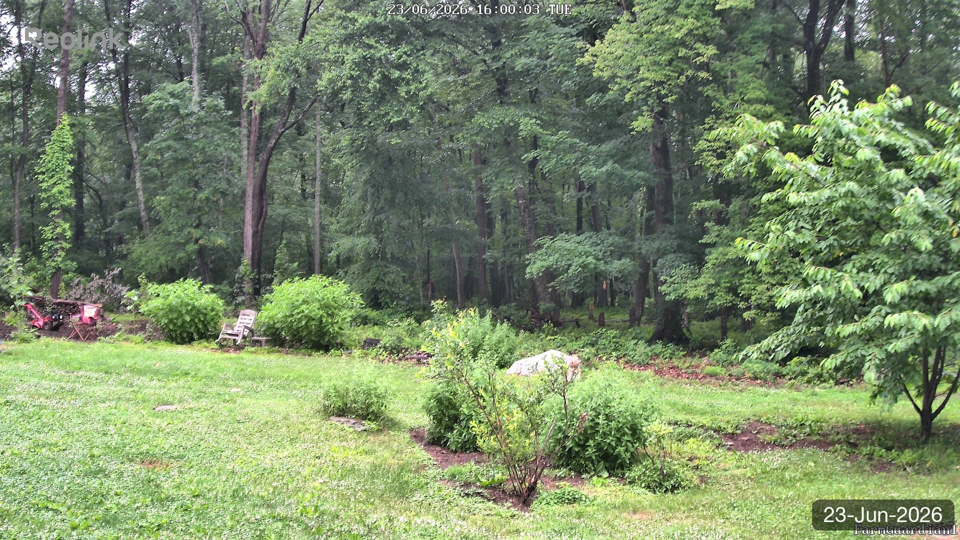 Yard on 23-Jun-2026, Evening