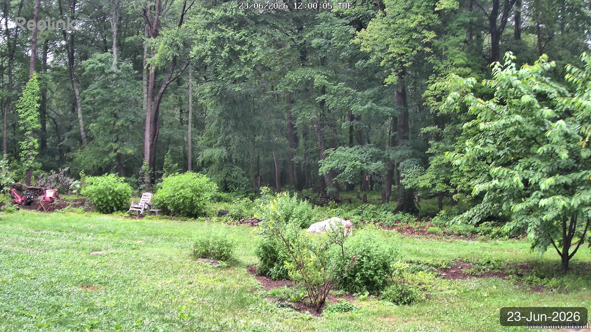 Yard on 23-Jun-2026, Noon