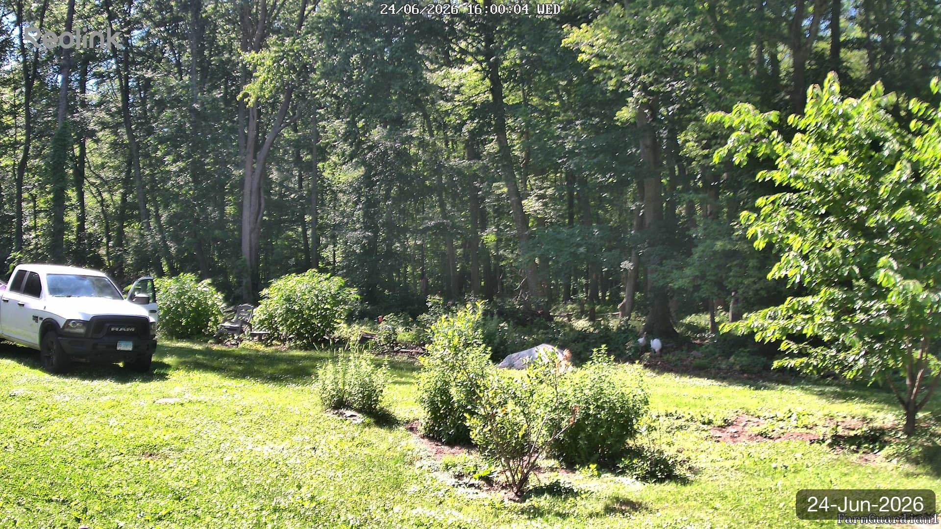 Yard on 24-Jun-2026, Evening