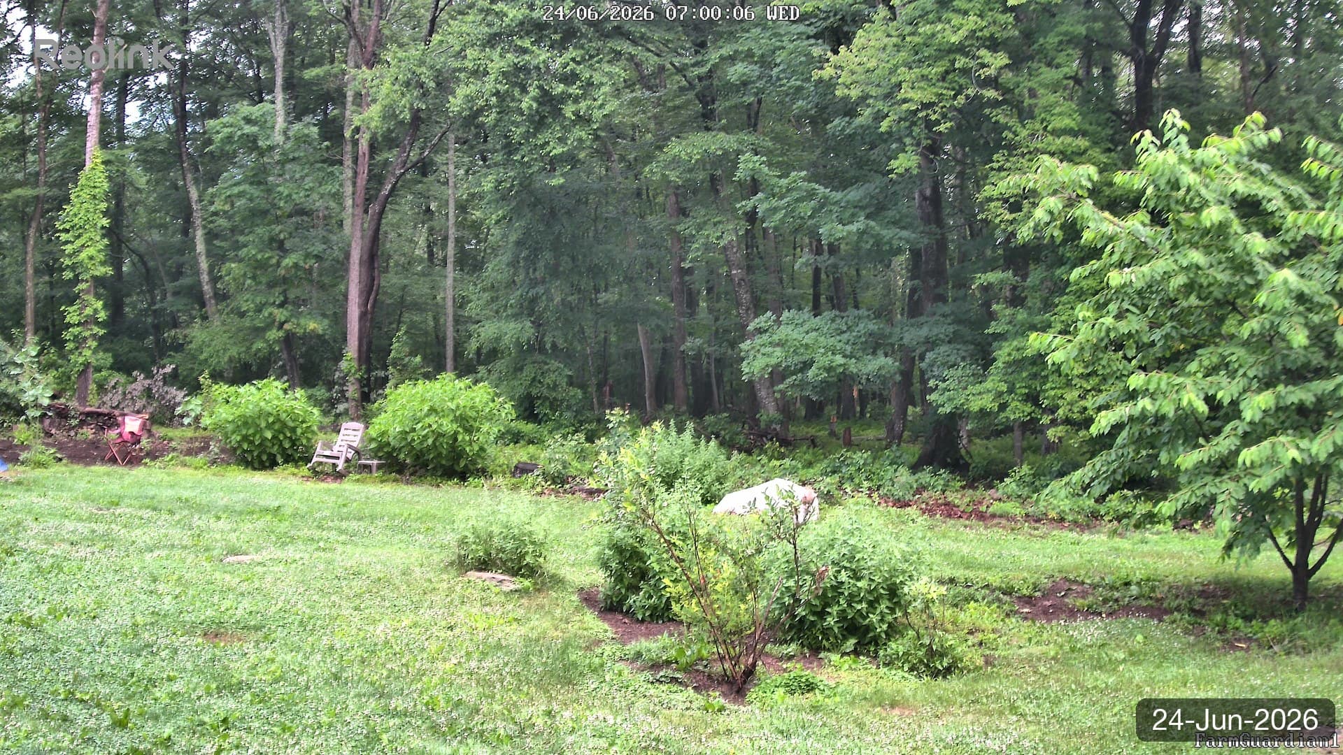 Yard on 24-Jun-2026, Morning