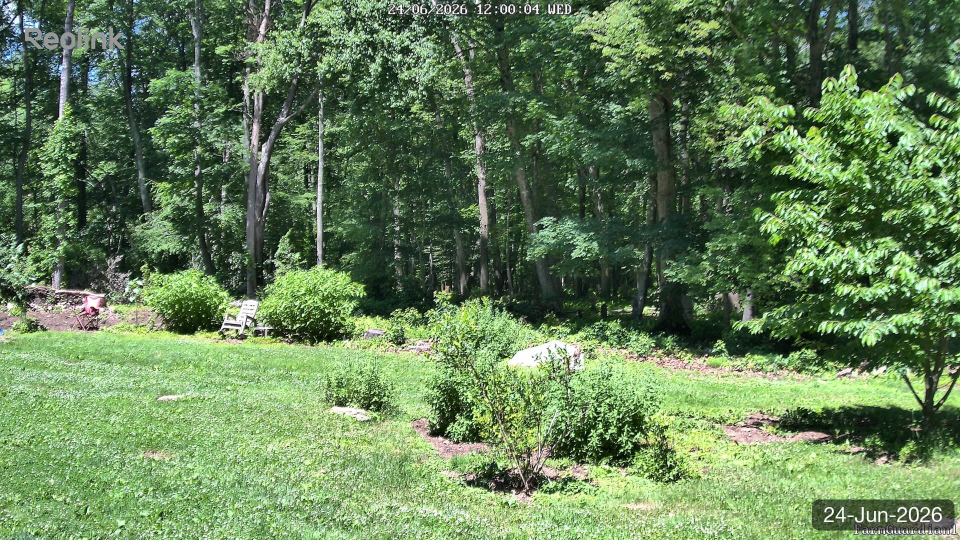 Yard on 24-Jun-2026, Noon