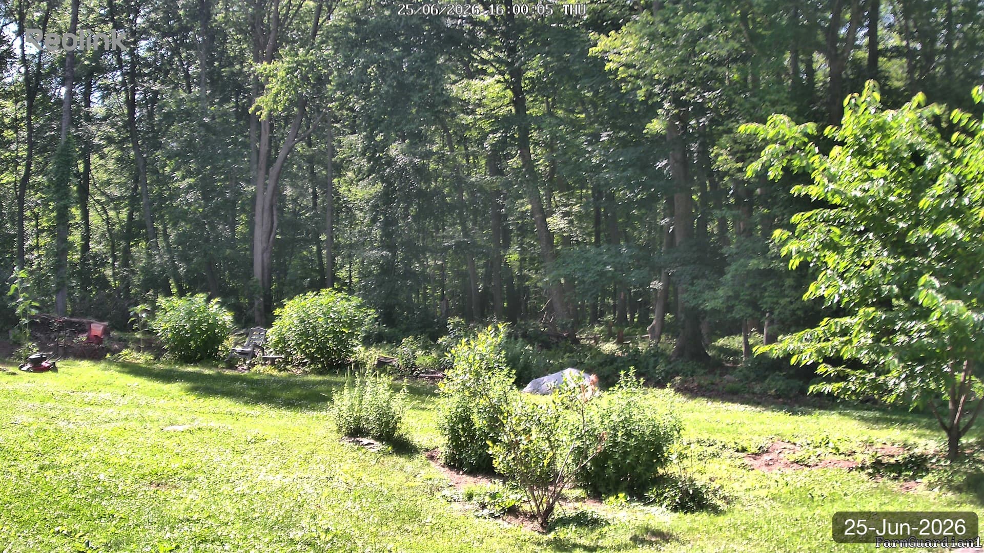Yard on 25-Jun-2026, Evening