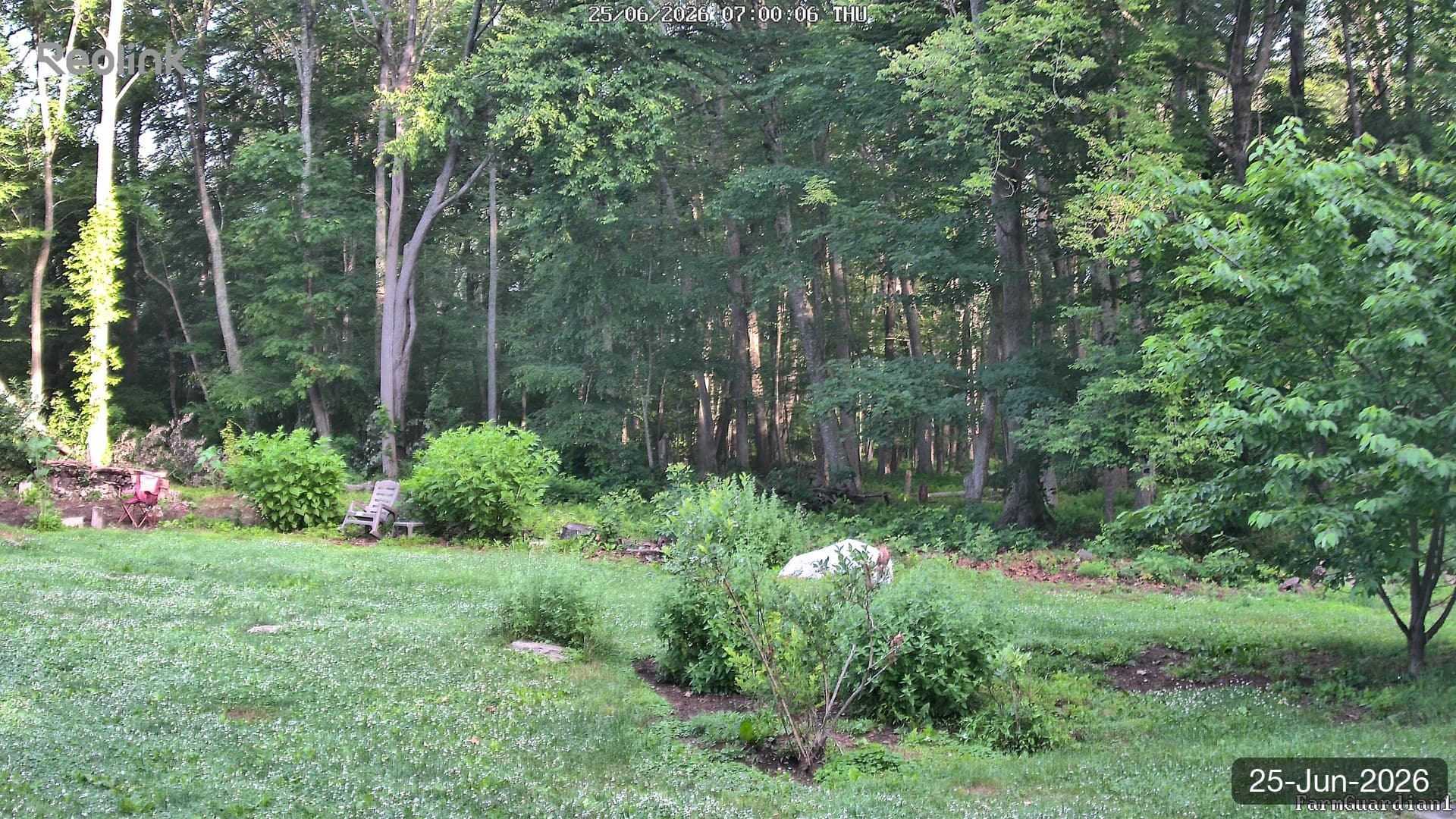 Yard on 25-Jun-2026, Morning