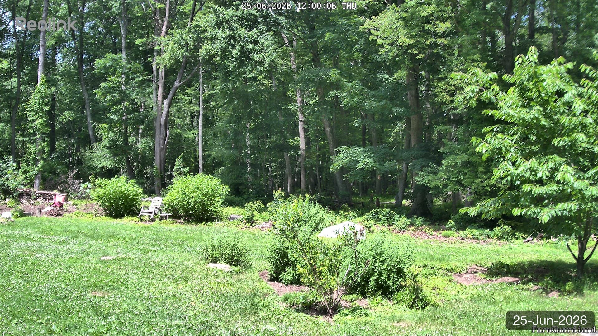 Yard on 25-Jun-2026, Noon