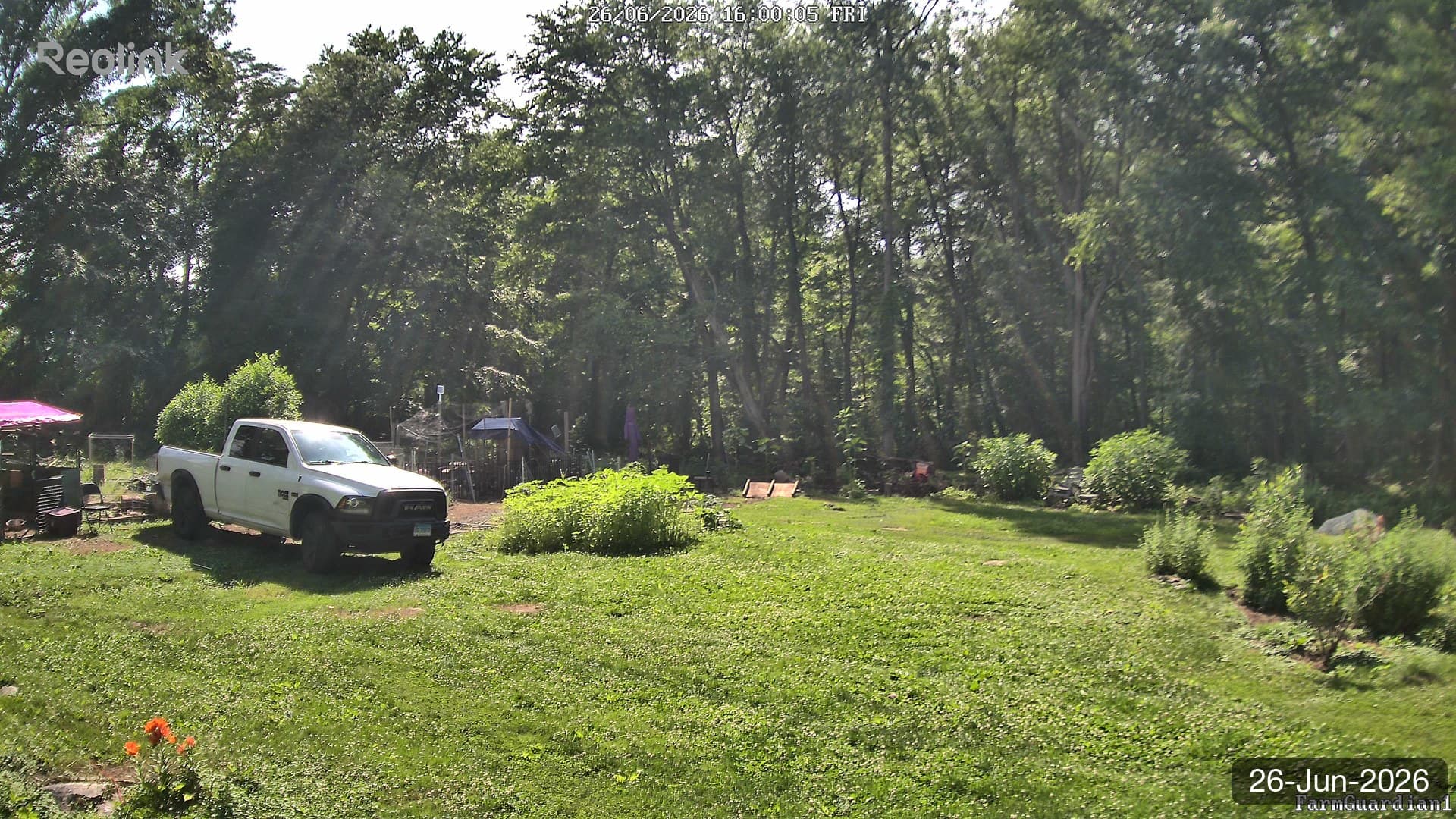 Yard on 26-Jun-2026, Evening