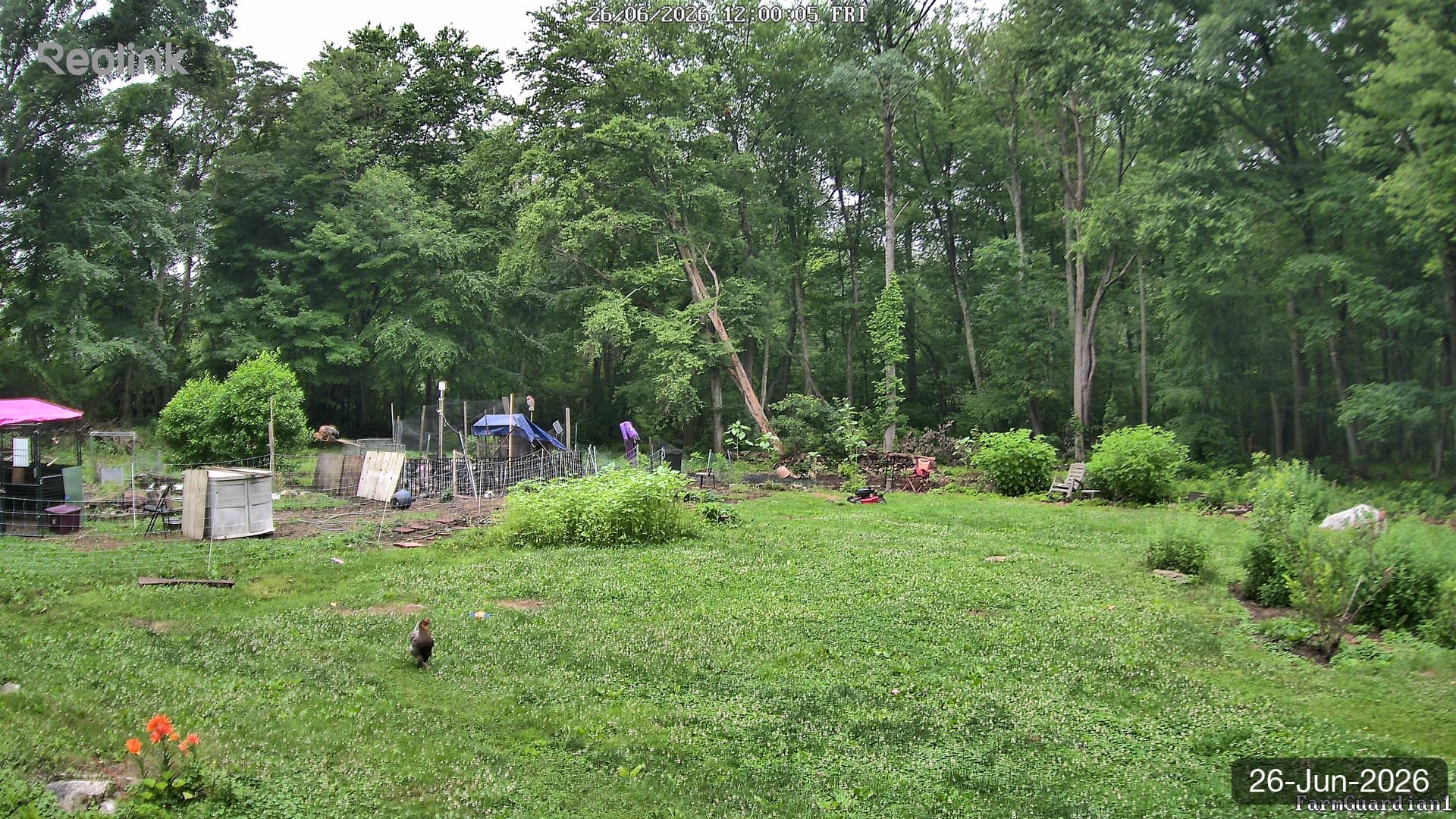 Yard on 26-Jun-2026, Noon