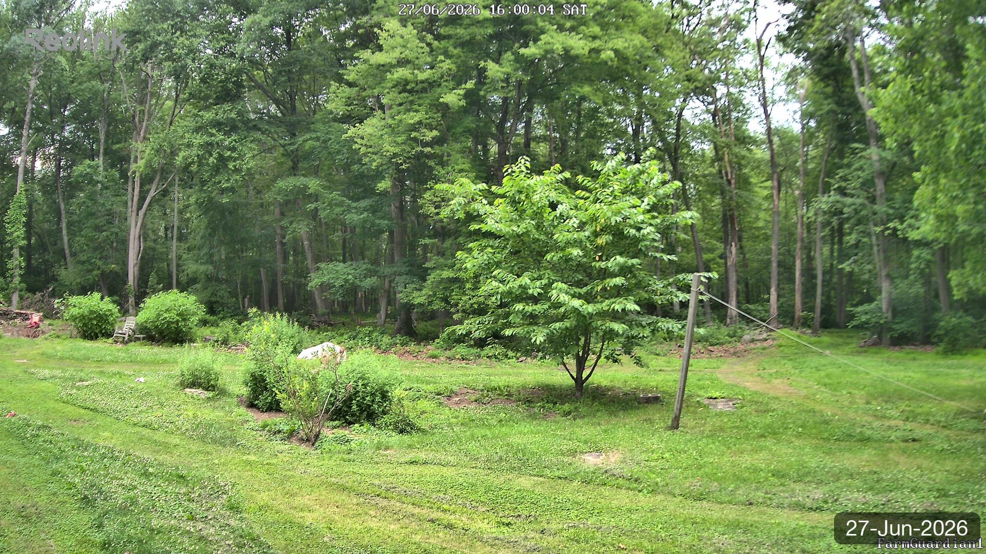 Yard on 27-Jun-2026, Evening