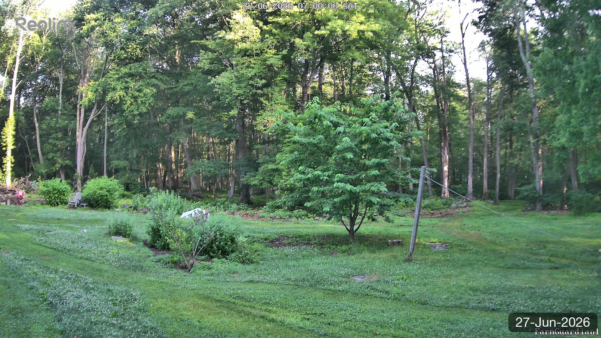 Yard on 27-Jun-2026, Morning