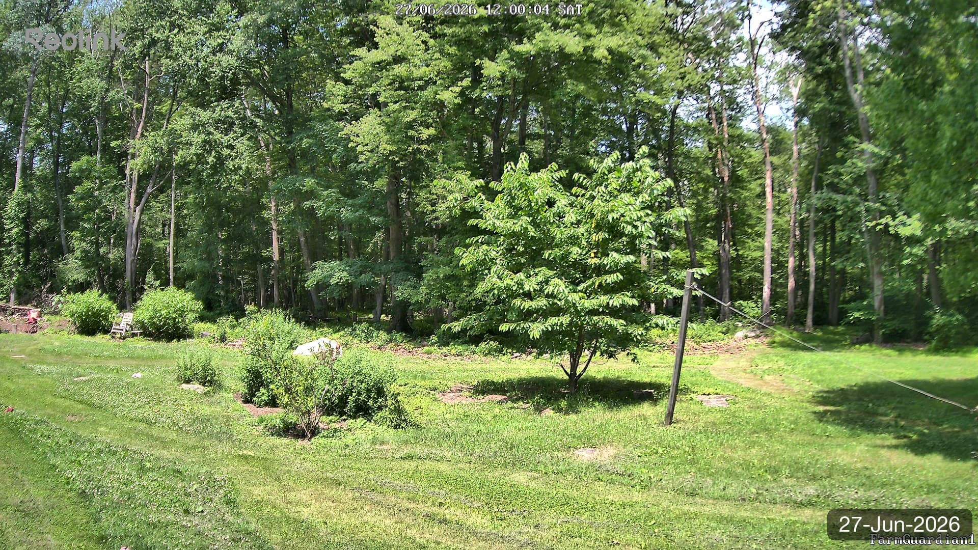Yard on 27-Jun-2026, Noon