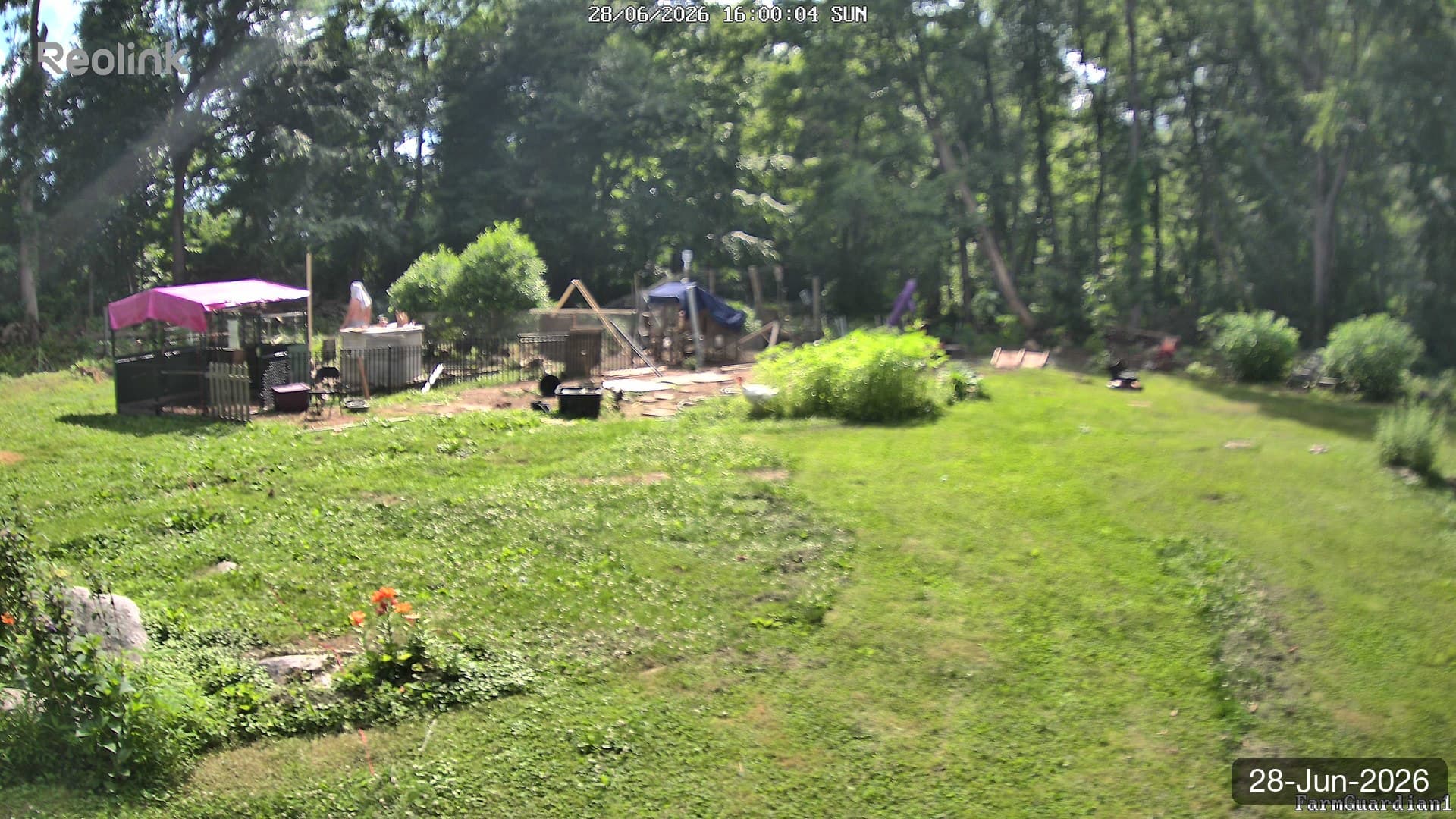 Yard on 28-Jun-2026, Evening