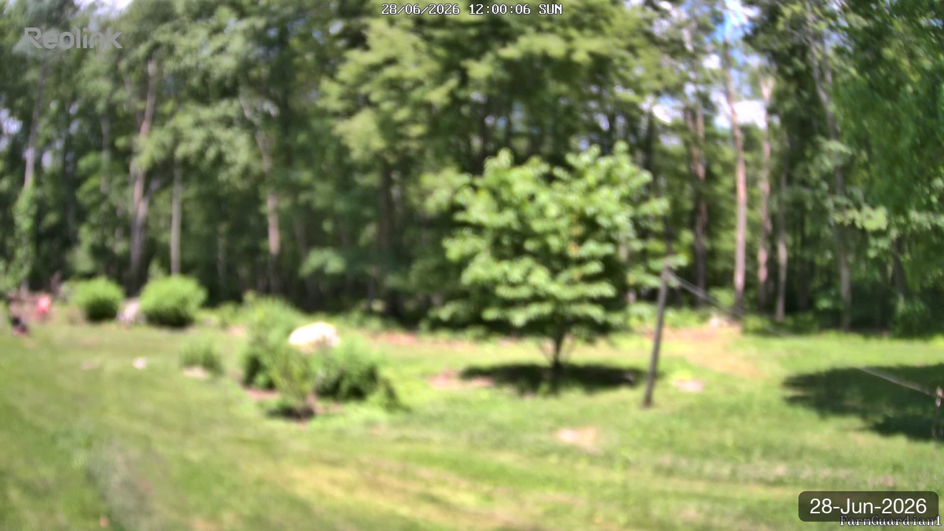 Yard on 28-Jun-2026, Noon