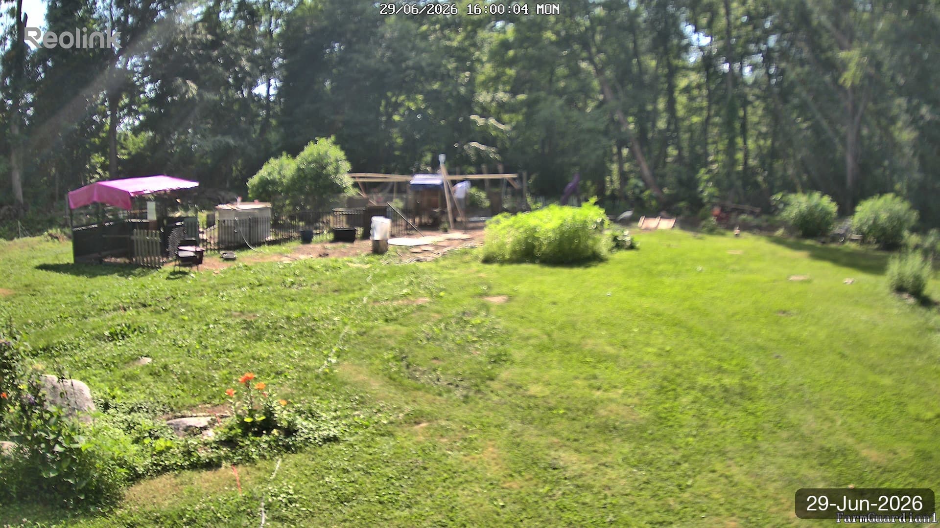Yard on 29-Jun-2026, Evening