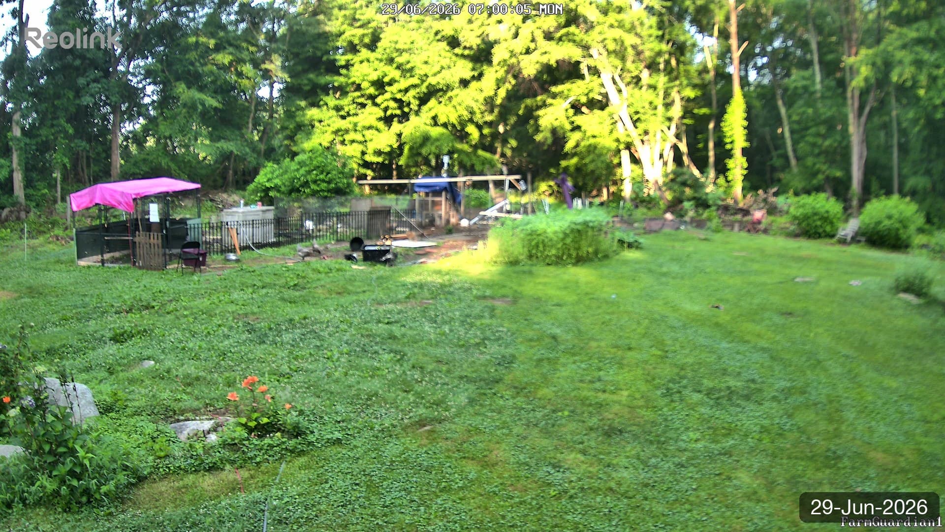 Yard on 29-Jun-2026, Morning