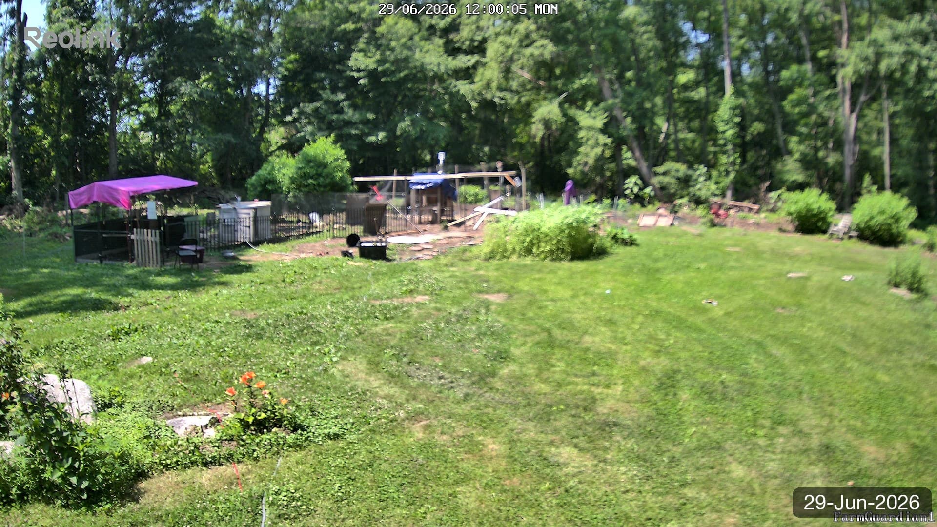 Yard on 29-Jun-2026, Noon