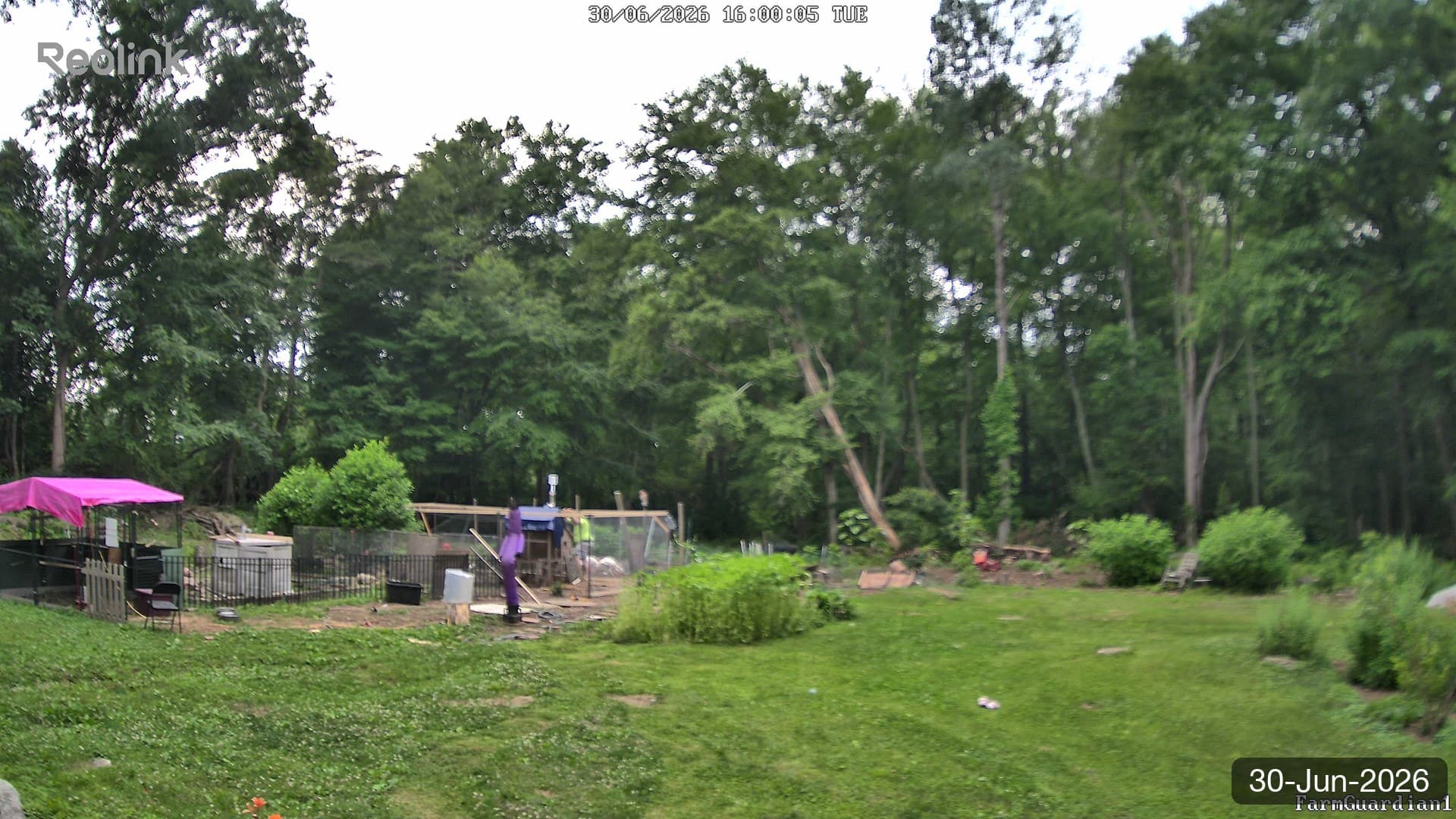 Yard on 30-Jun-2026, Evening