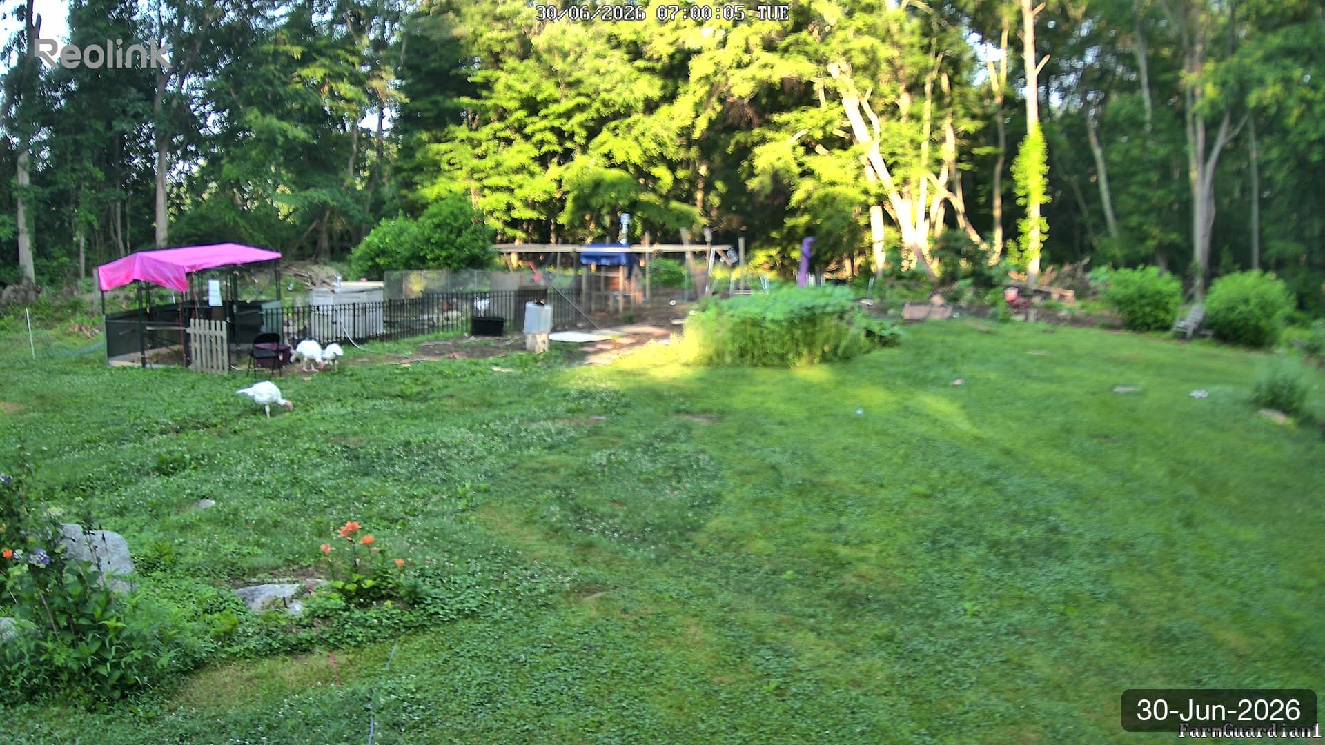 Yard on 30-Jun-2026, Morning