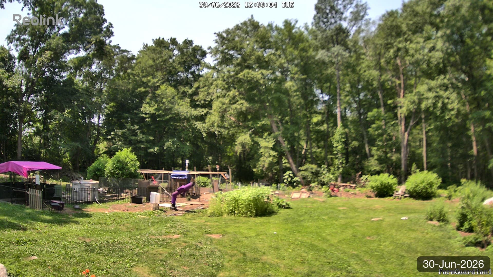 Yard on 30-Jun-2026, Noon