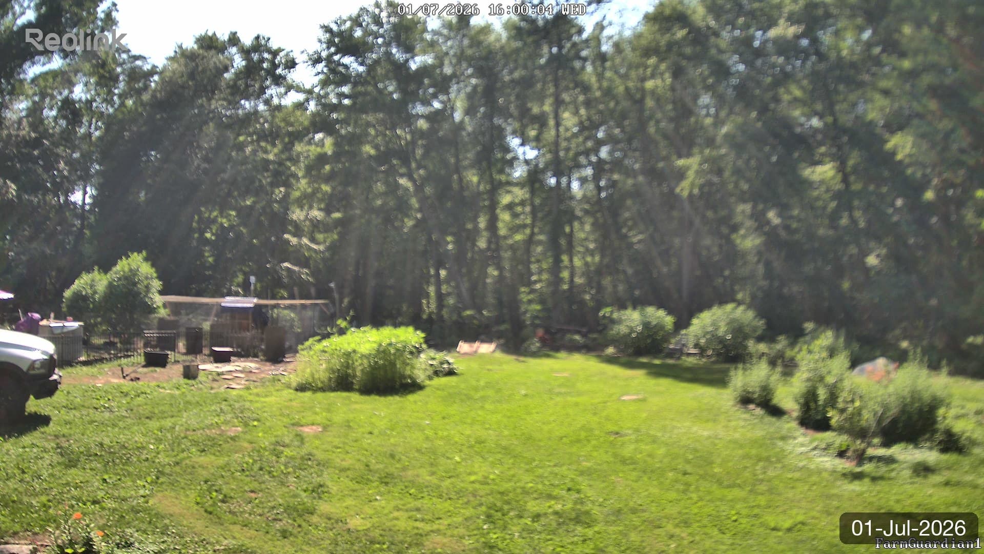 Yard on 01-Jul-2026, Evening