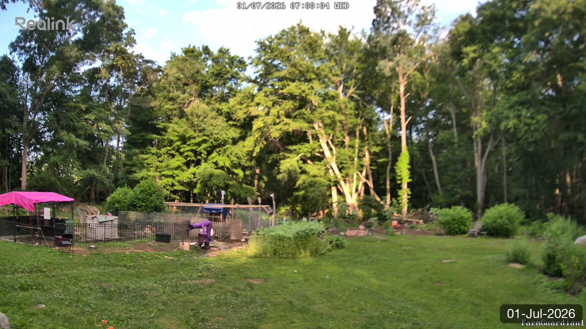 Yard on 01-Jul-2026, Morning