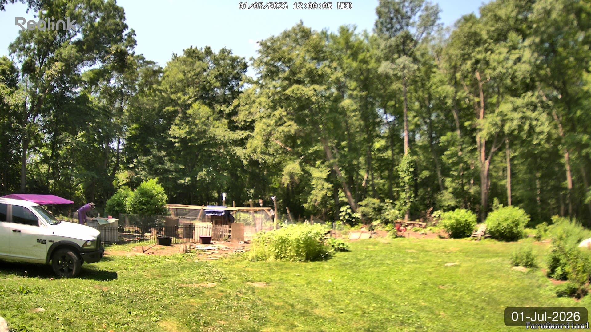 Yard on 01-Jul-2026, Noon
