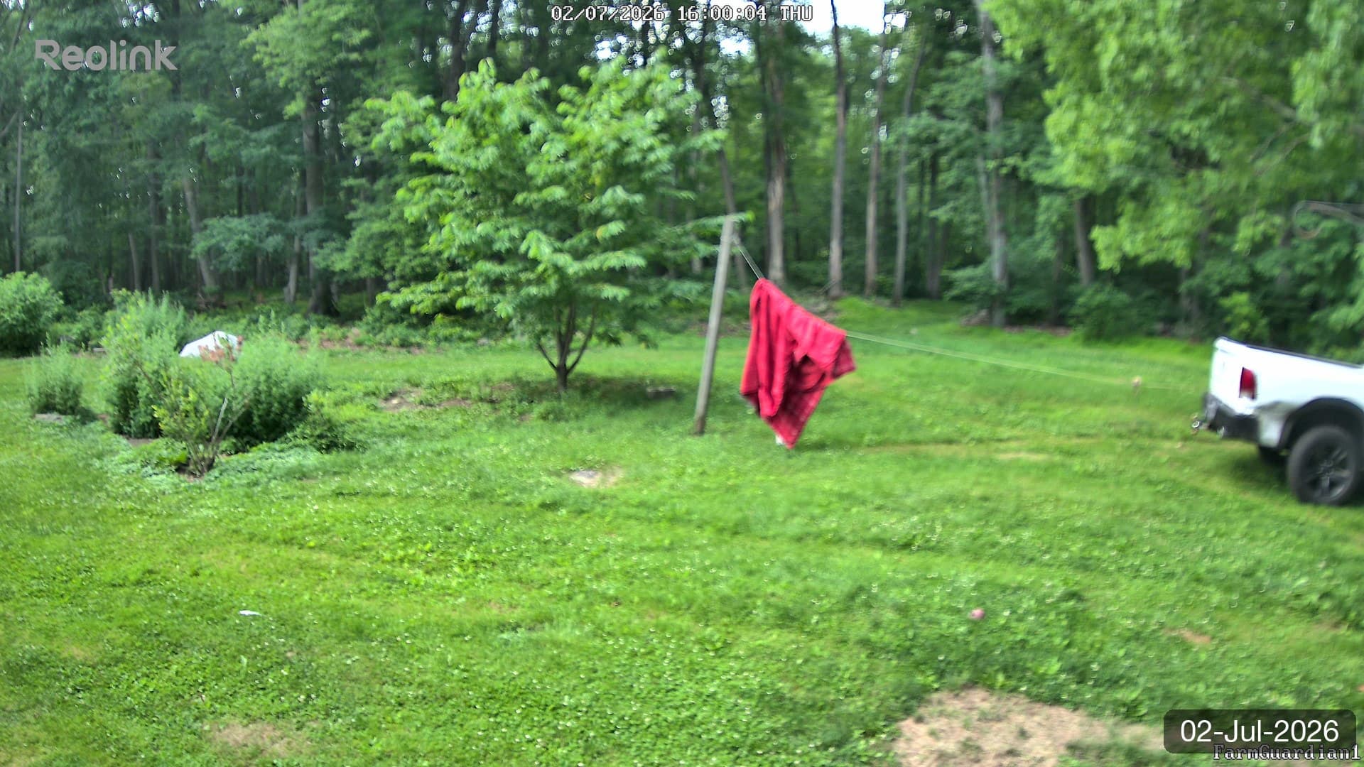 Yard on 02-Jul-2026, Evening