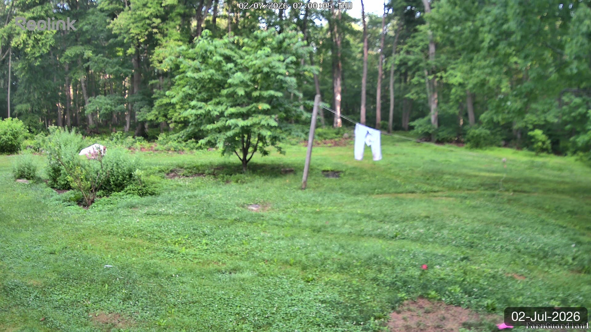 Yard on 02-Jul-2026, Morning